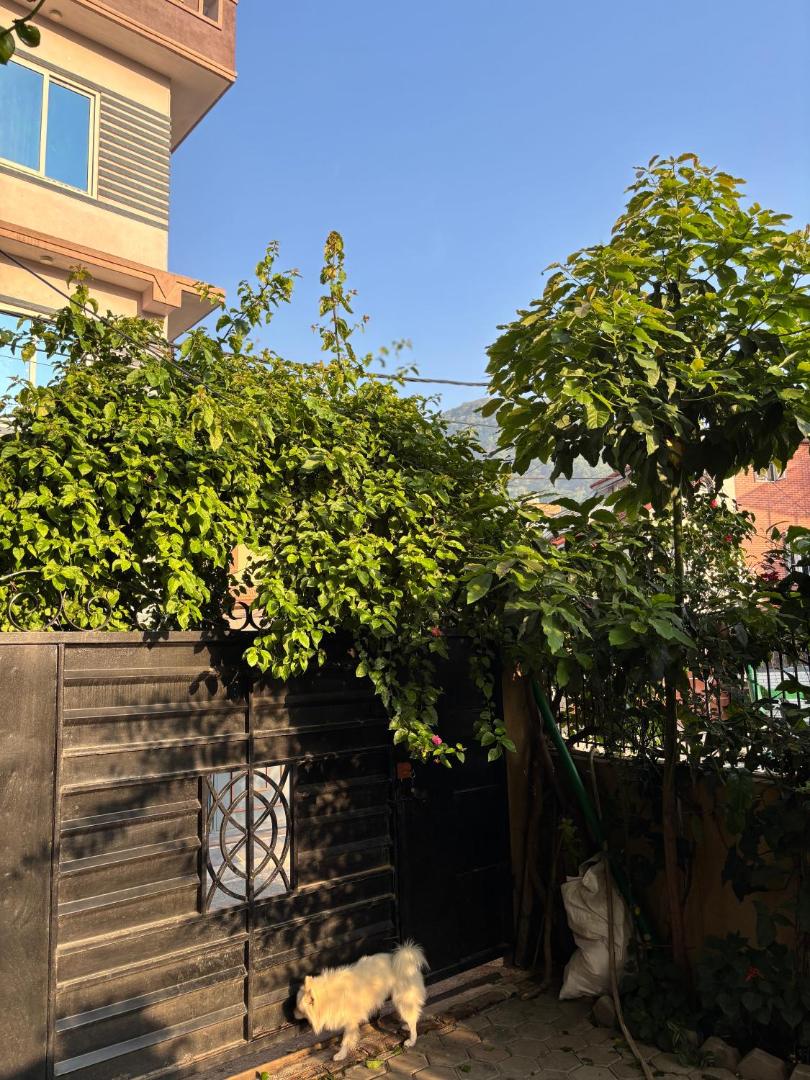 Mums Homestay & Studio Apartments