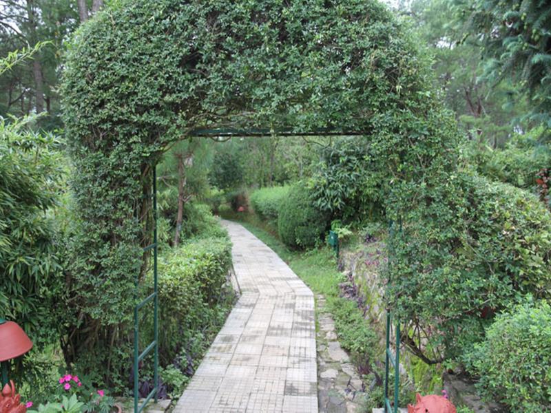 Neydo Hotel