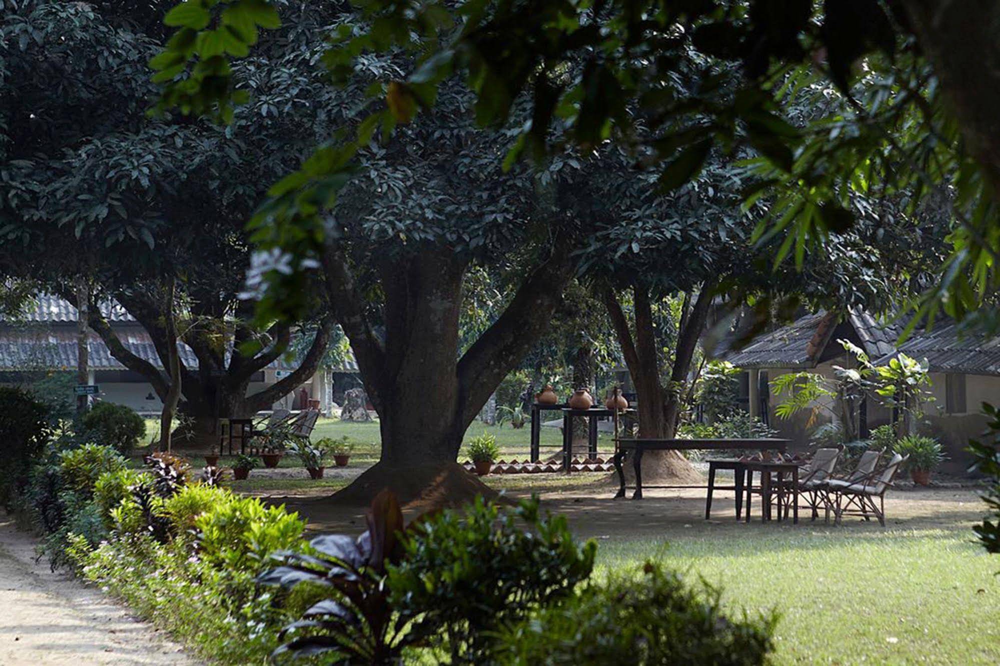 Tiger Tops Tharu Lodge