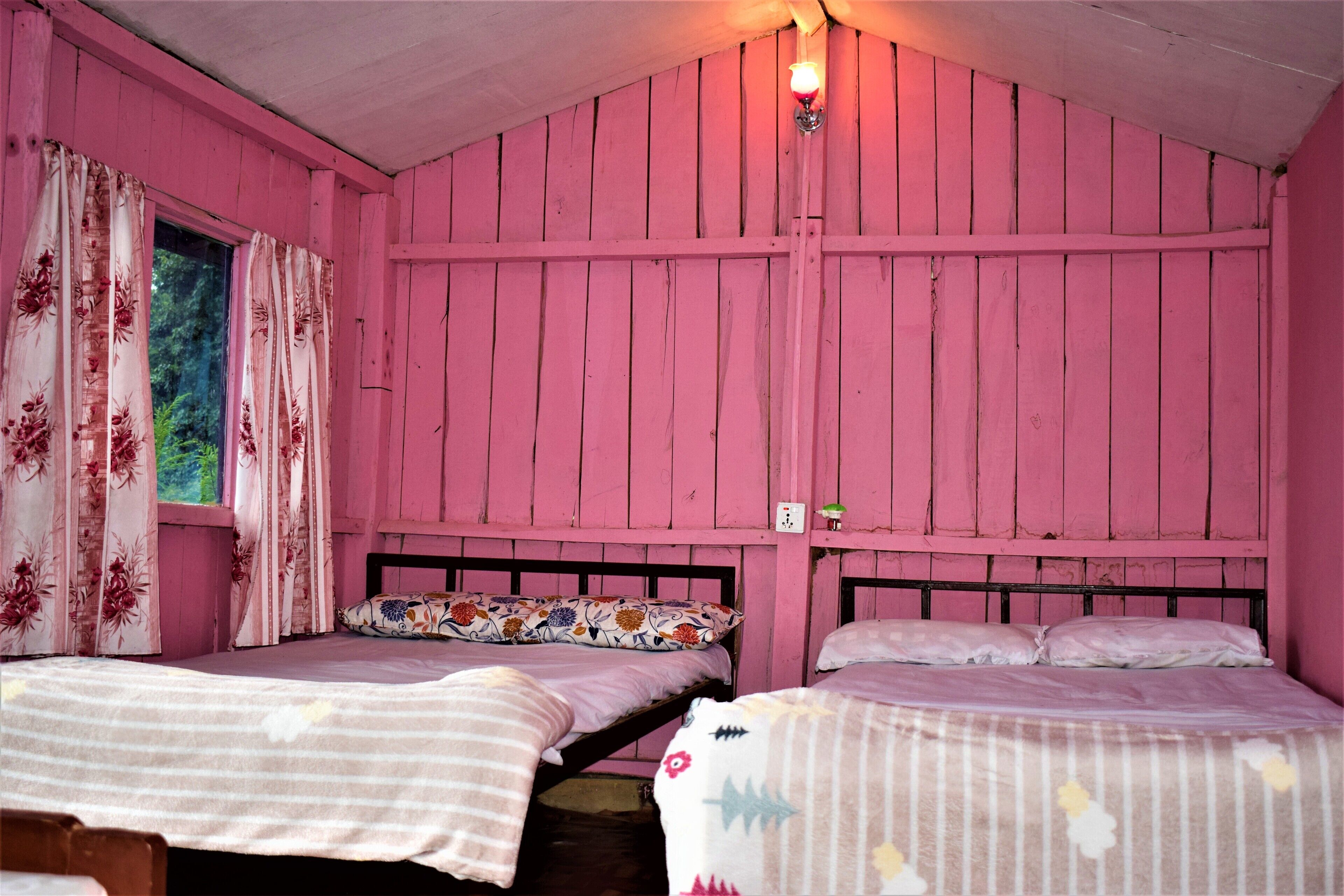 Jungle Crown Organic Homestay