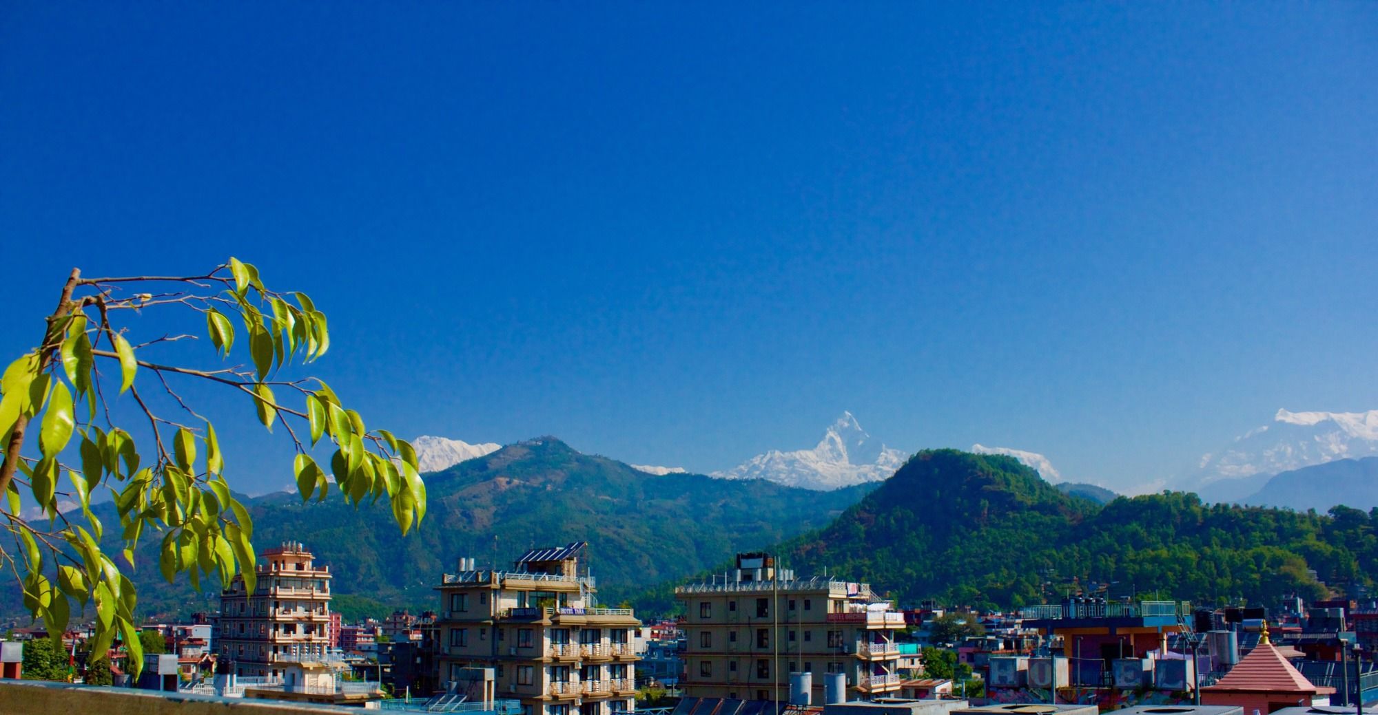 Hotel Himalayan Inn