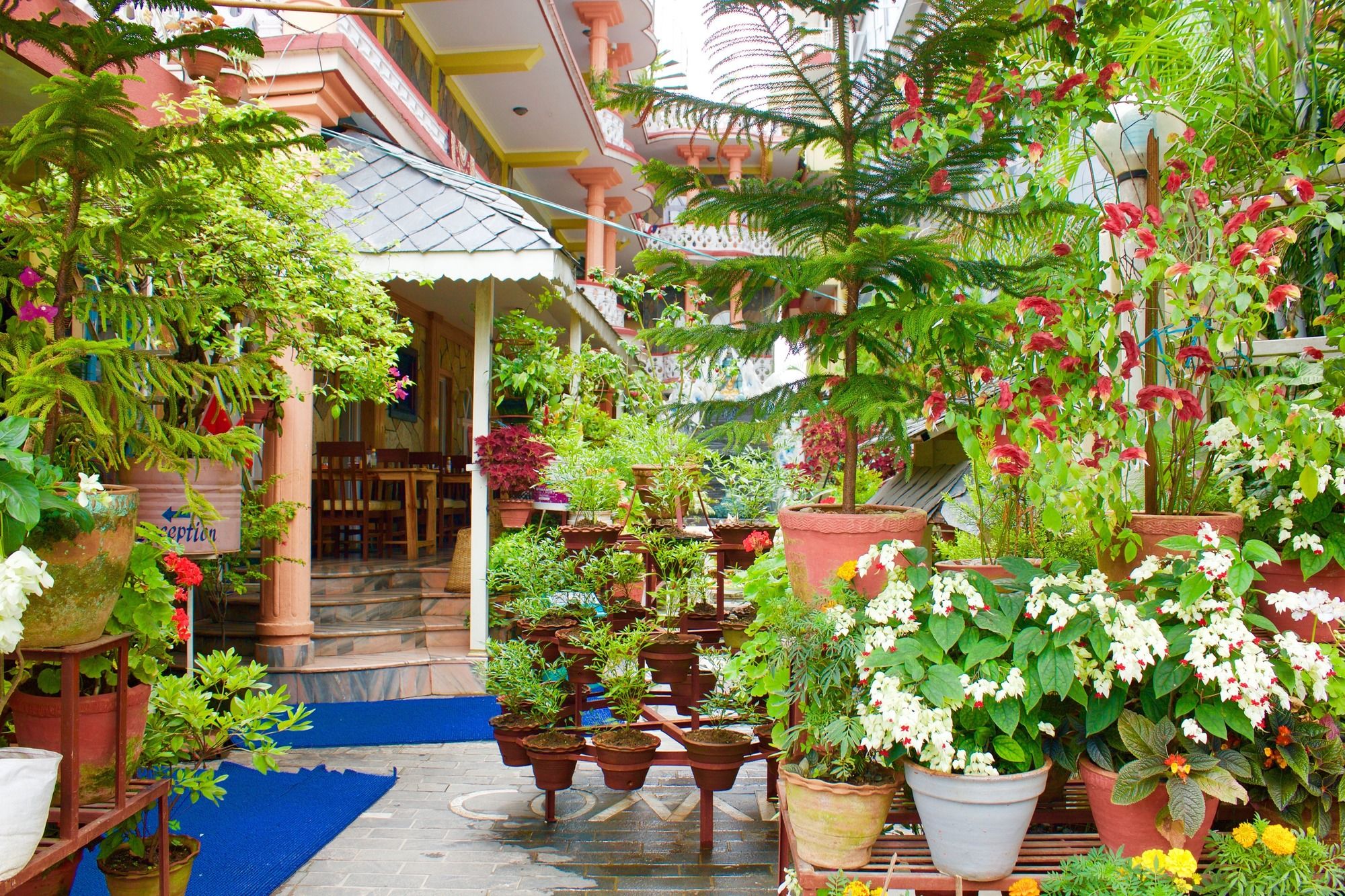 Hotel Himalayan Inn