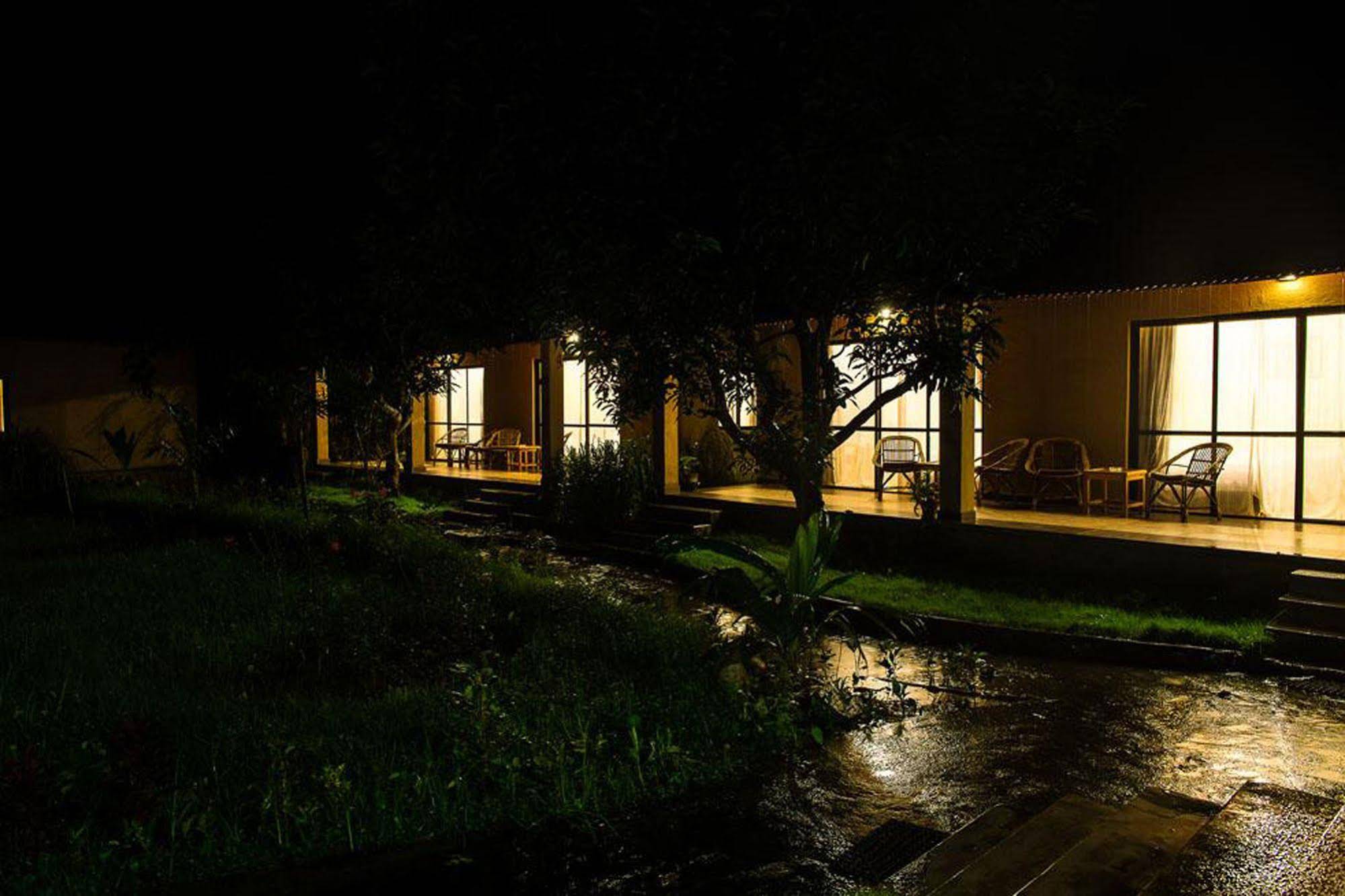 Into The Wild Eco Resort