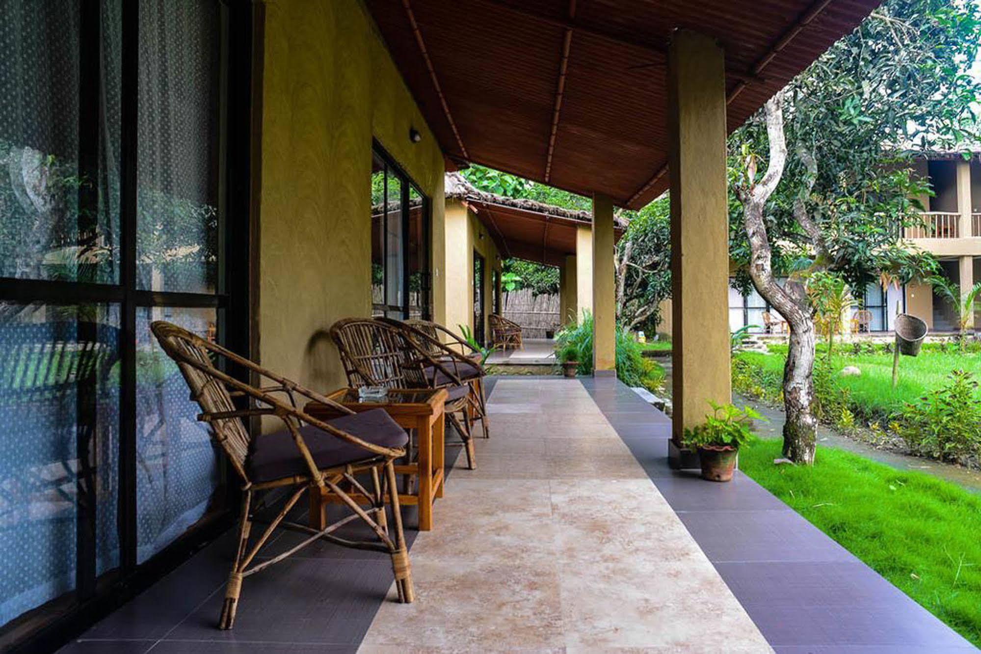 Into The Wild Eco Resort