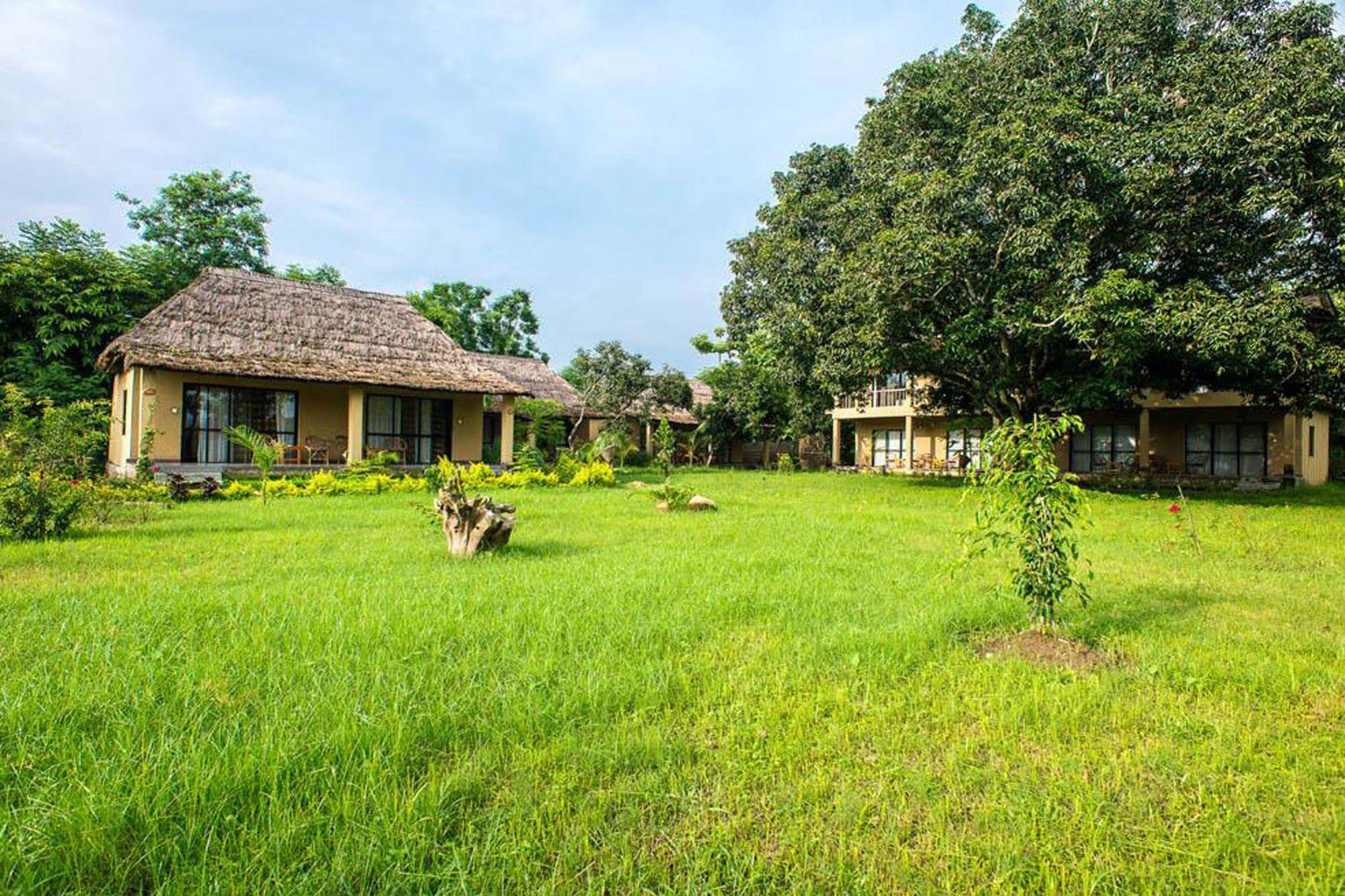 Into The Wild Eco Resort