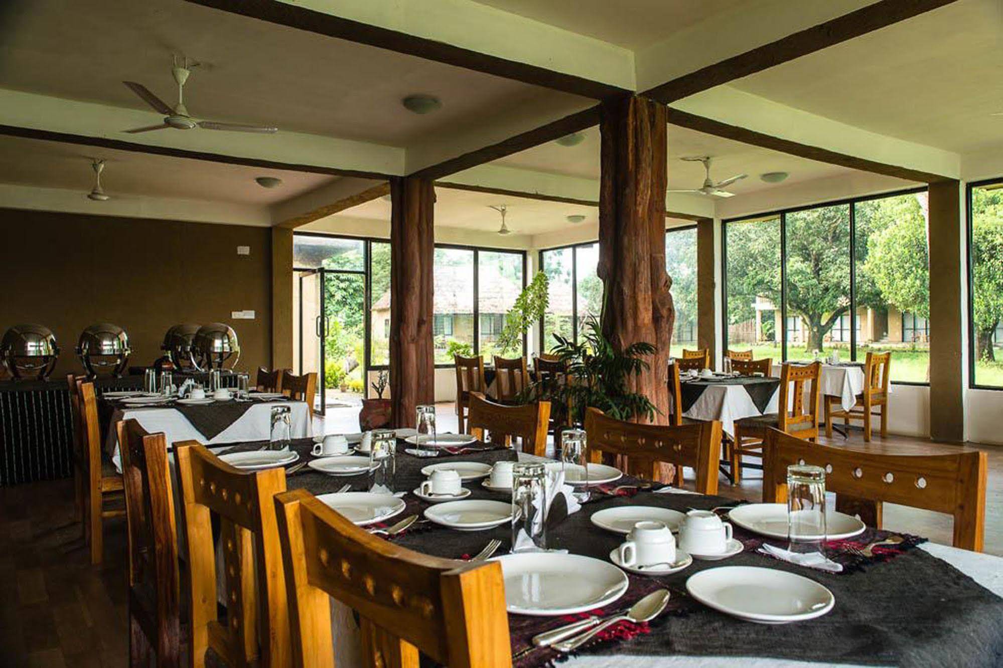 Into The Wild Eco Resort
