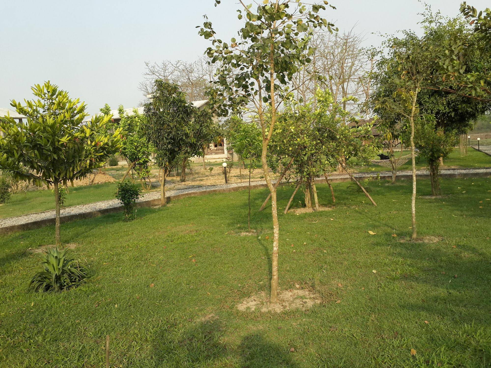 Wildlife Adventure Resort