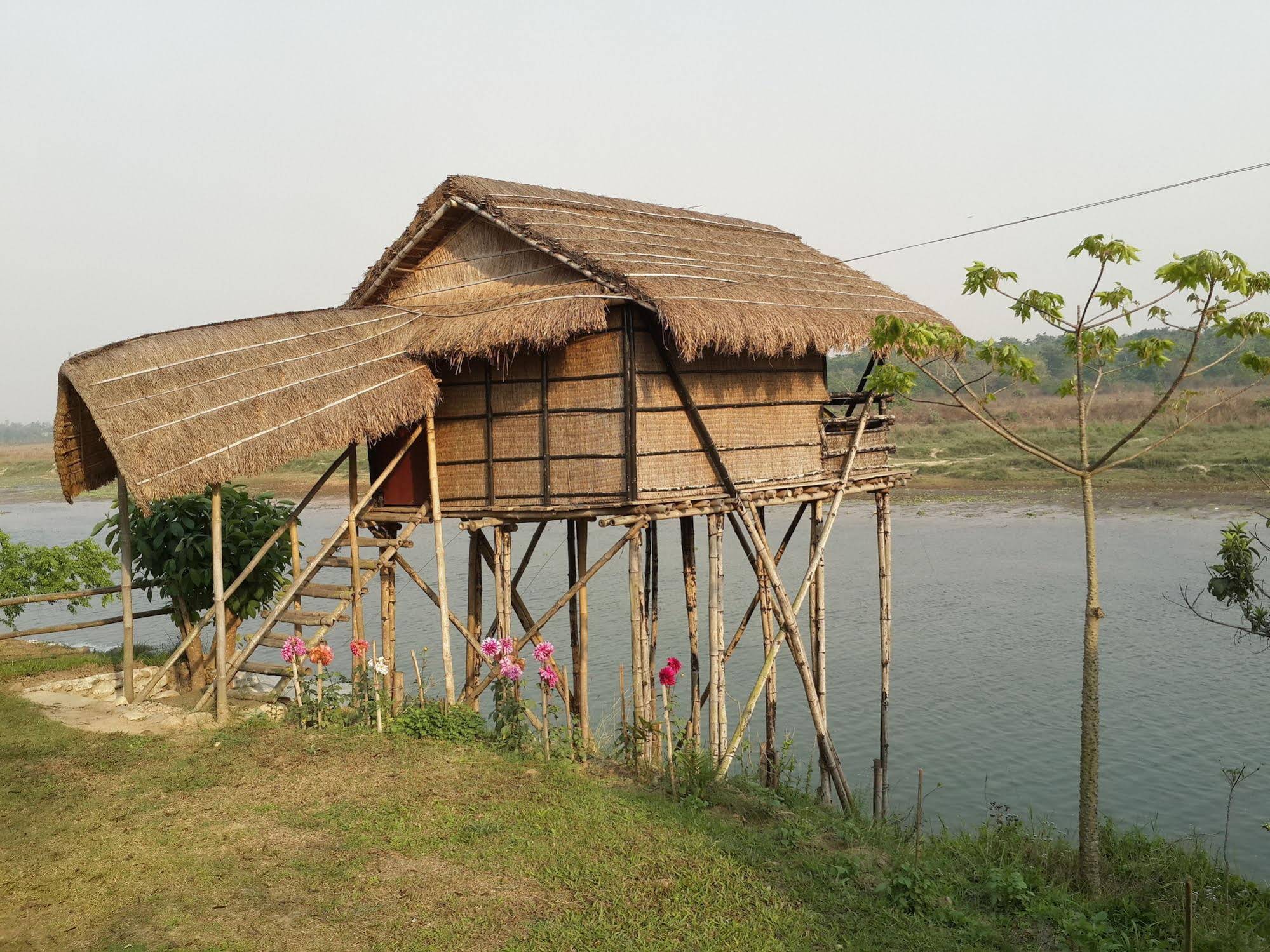 Wildlife Adventure Resort