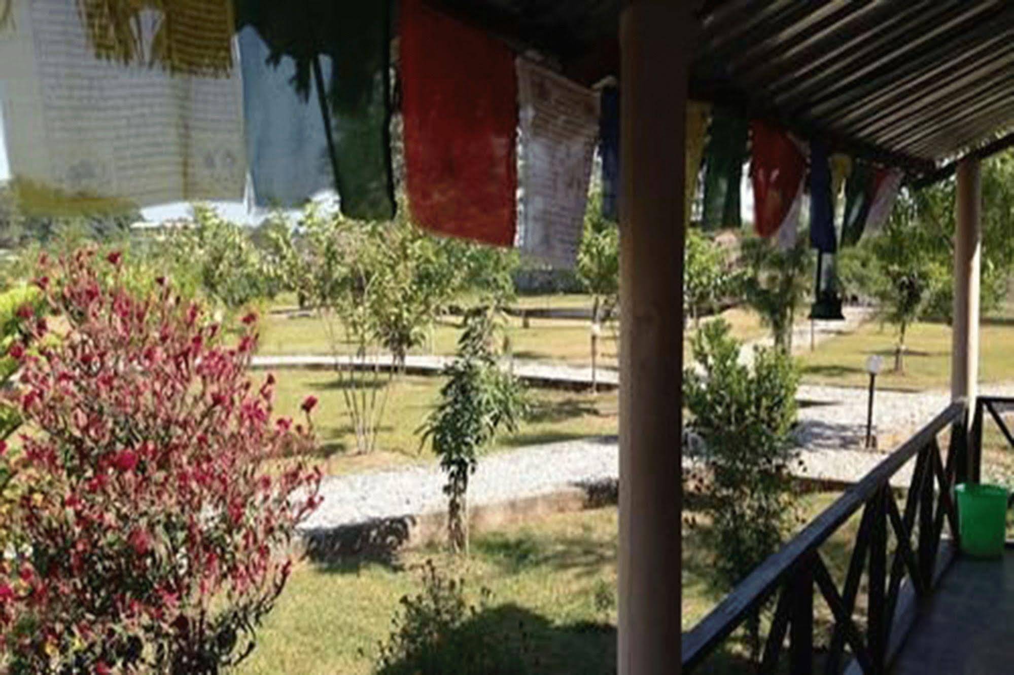 Wildlife Adventure Resort