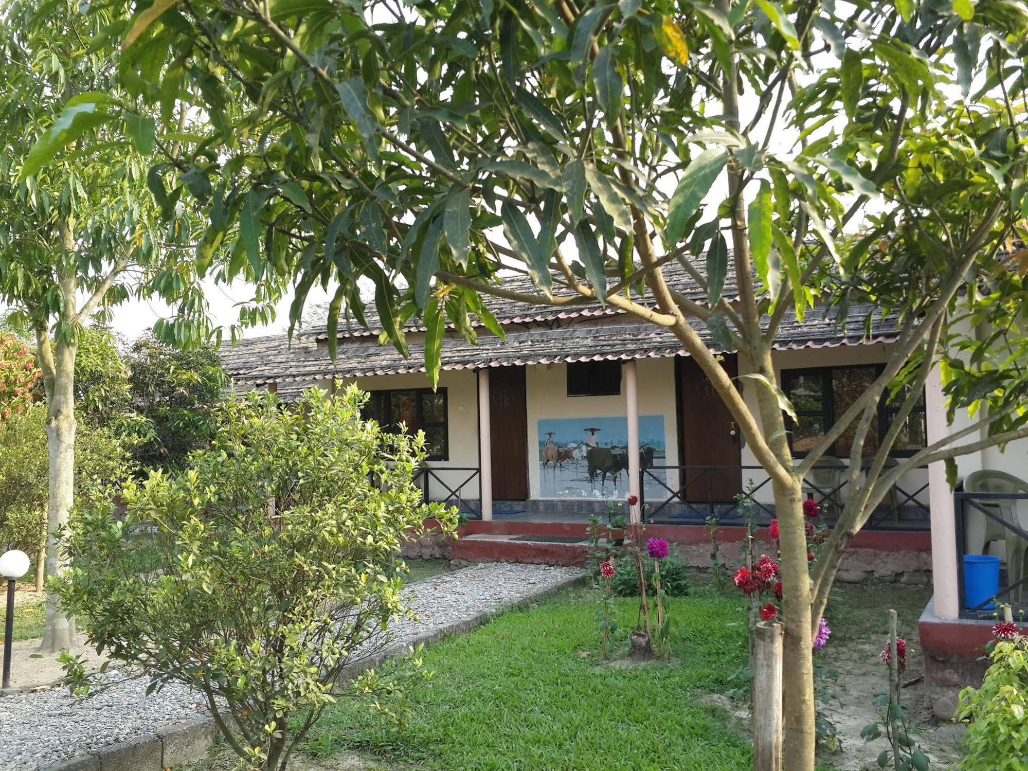 Wildlife Adventure Resort