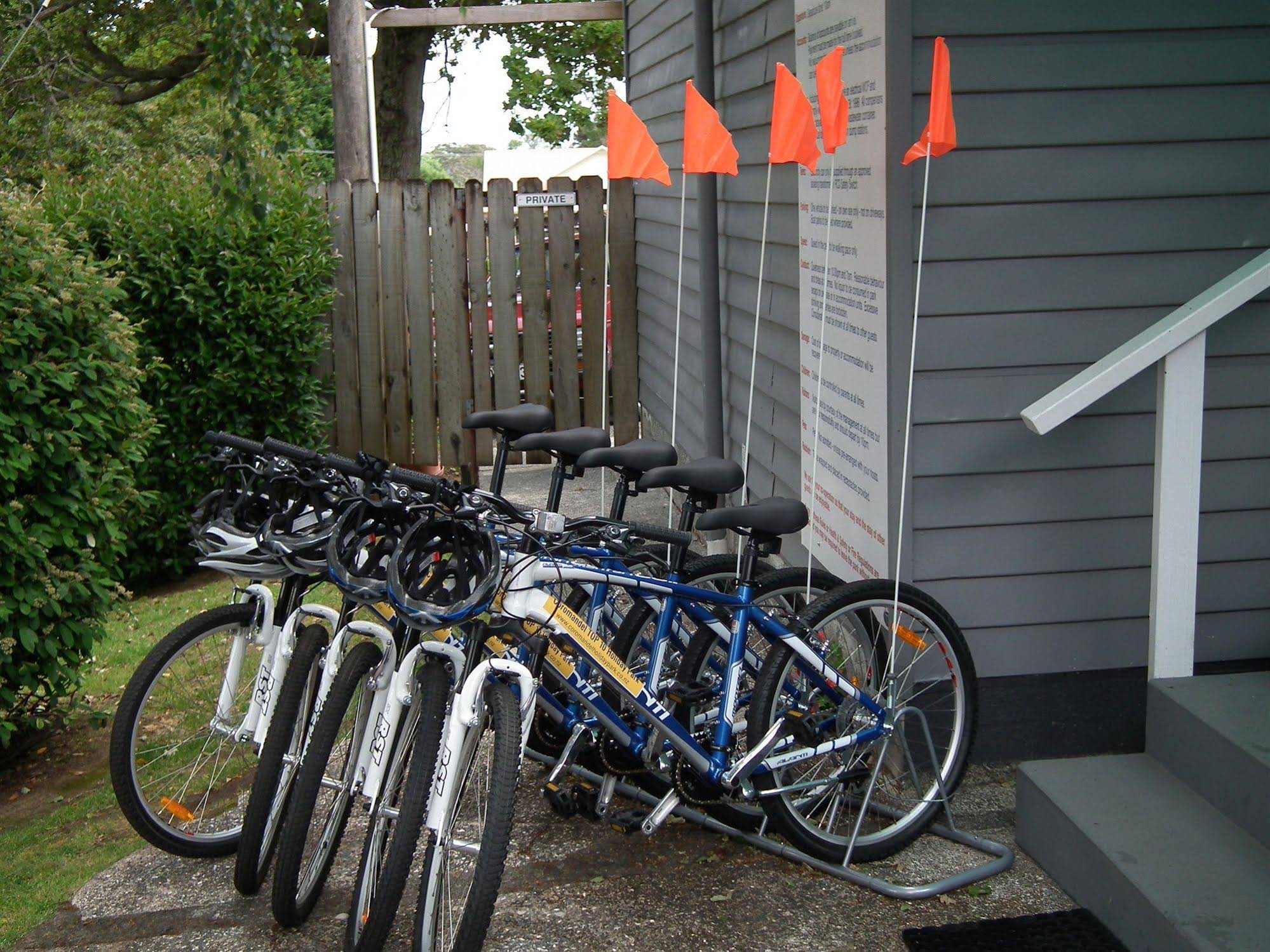 Coromandel TOP 10 Holiday Park