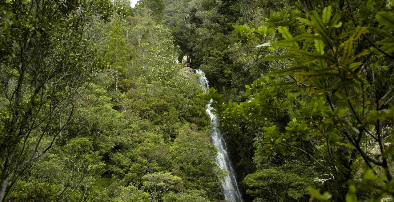 Bushland Park Lodge