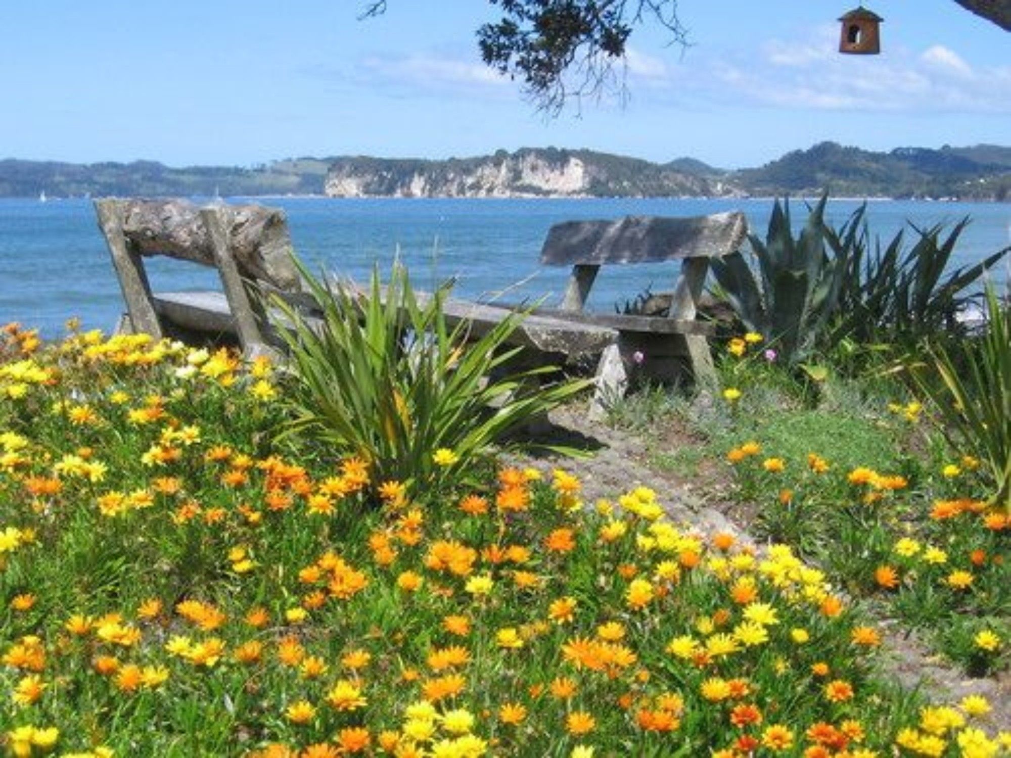 Beachfront Resort - Mercury Bay