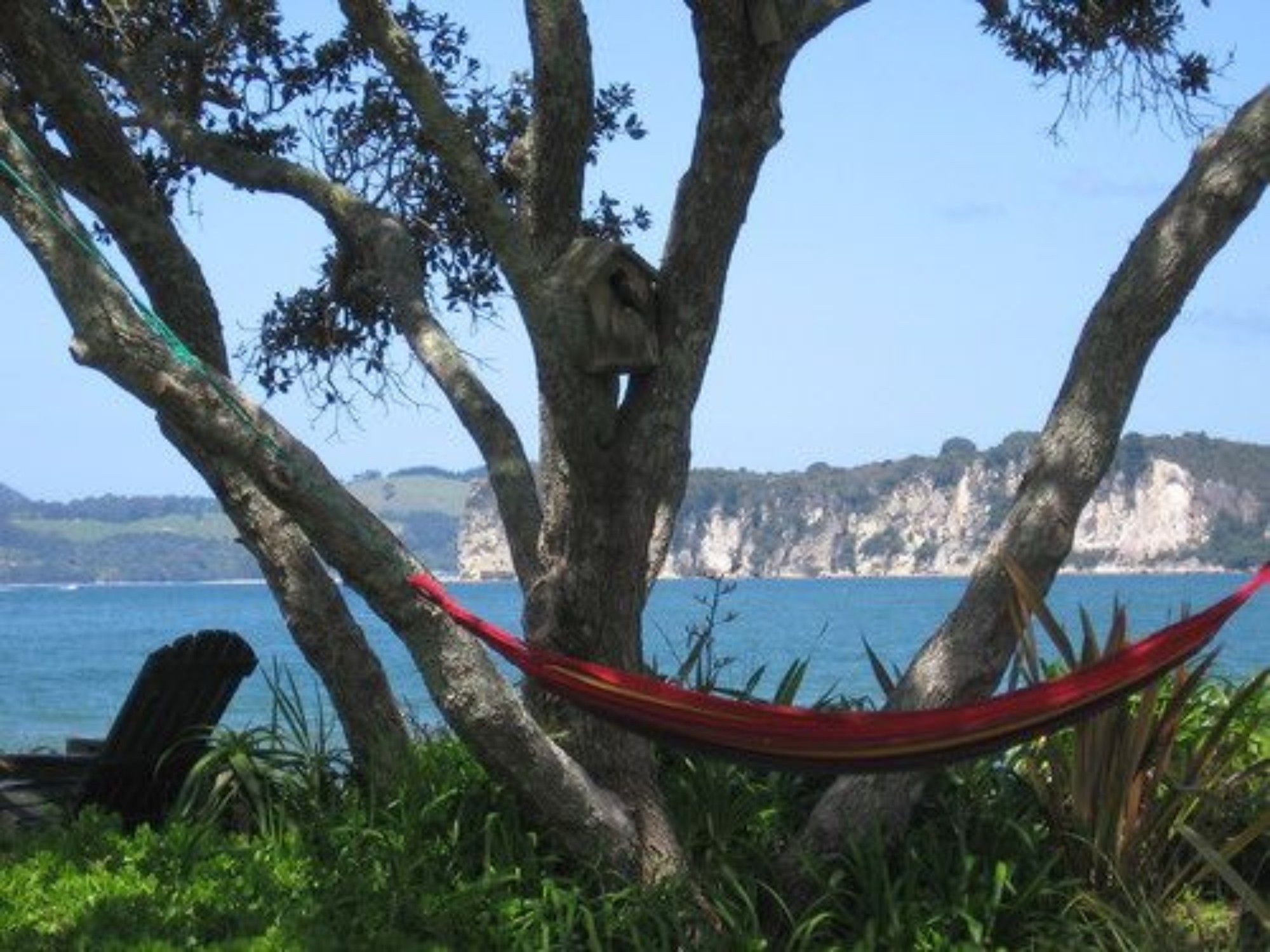Beachfront Resort - Mercury Bay