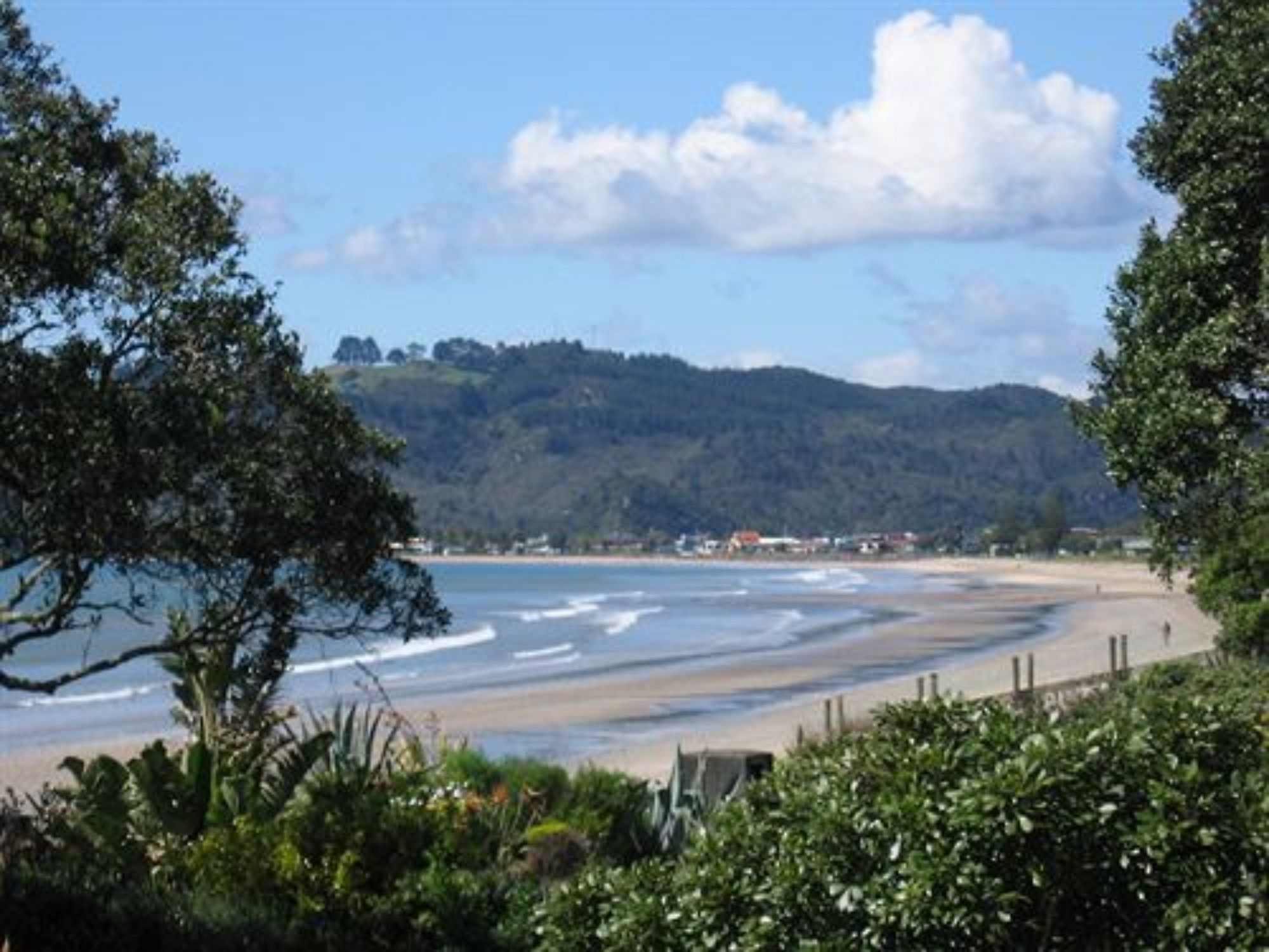 Beachfront Resort - Mercury Bay