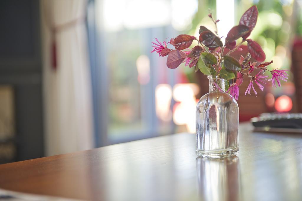 Pipi Dune Bed & Breakfast