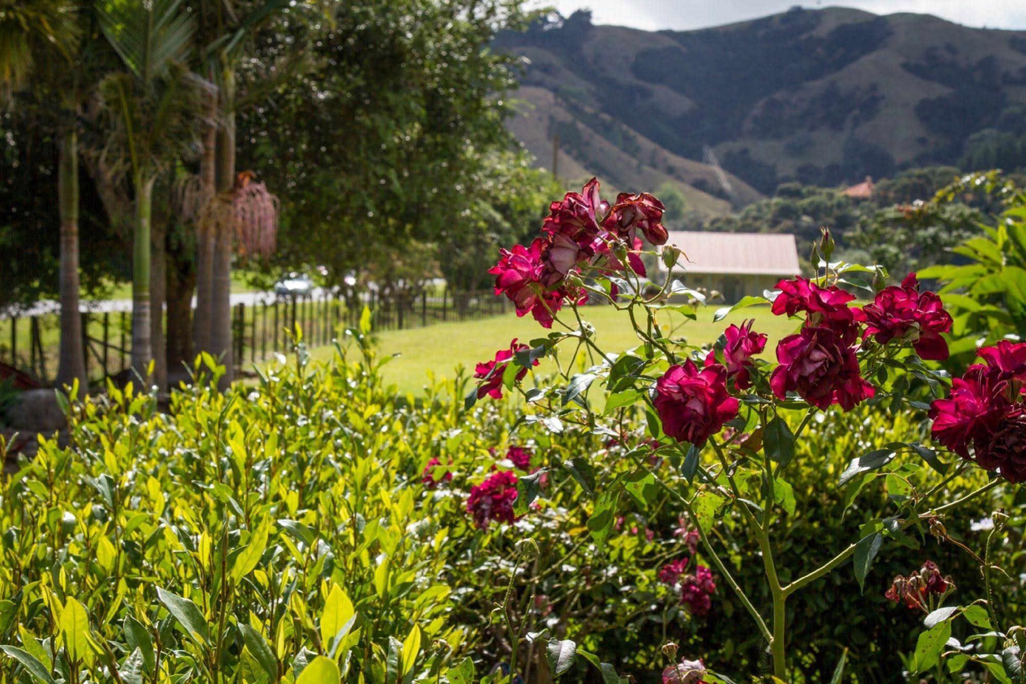 Taigh Na Mara Bed and Breakfast
