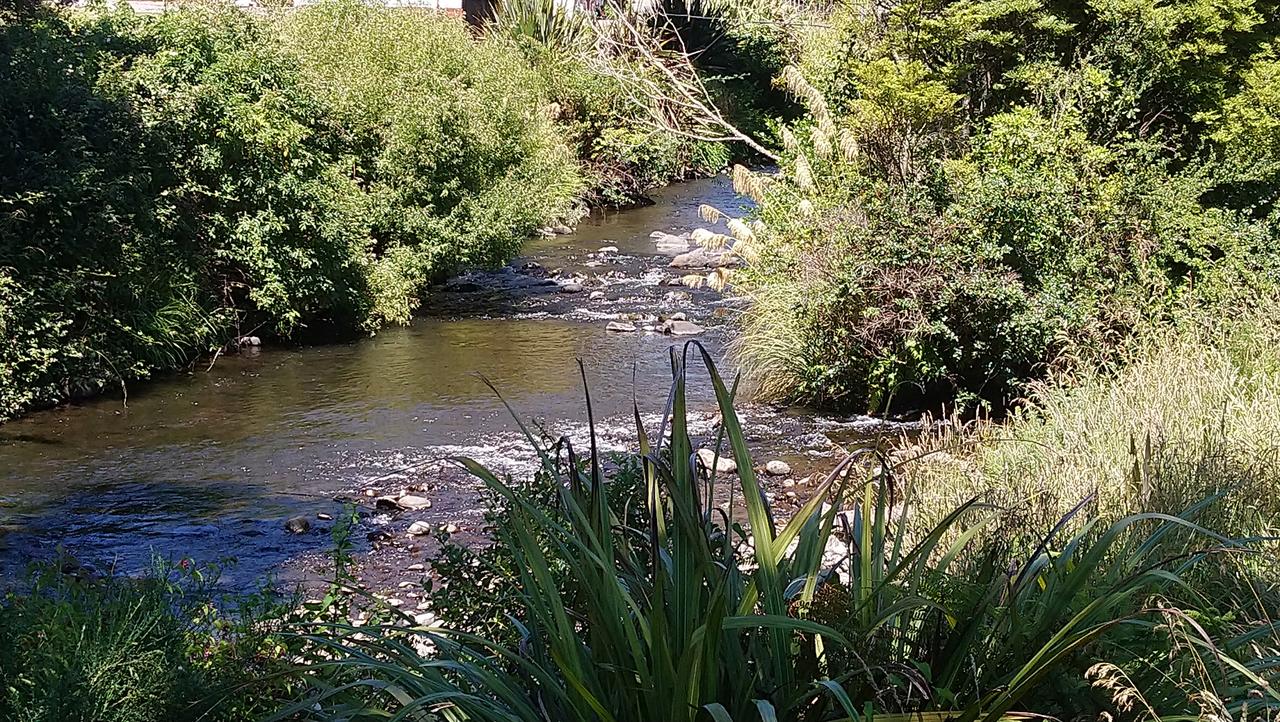 Two Rivers Ohakune