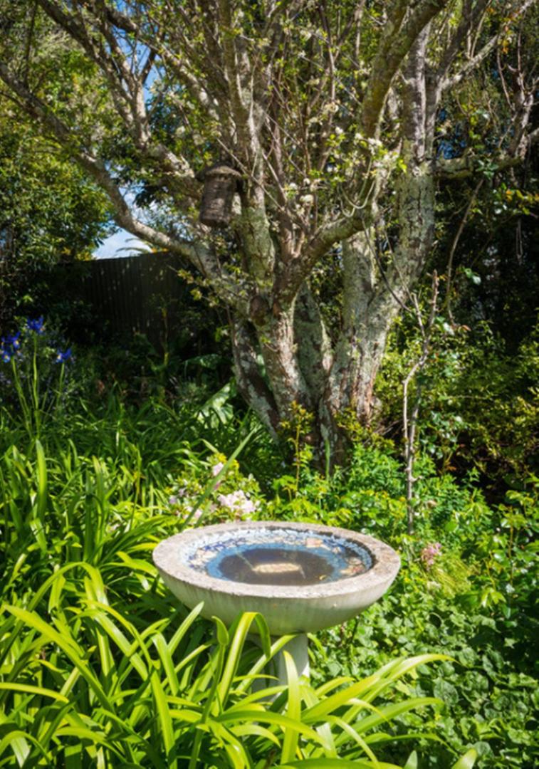 The Courtyard