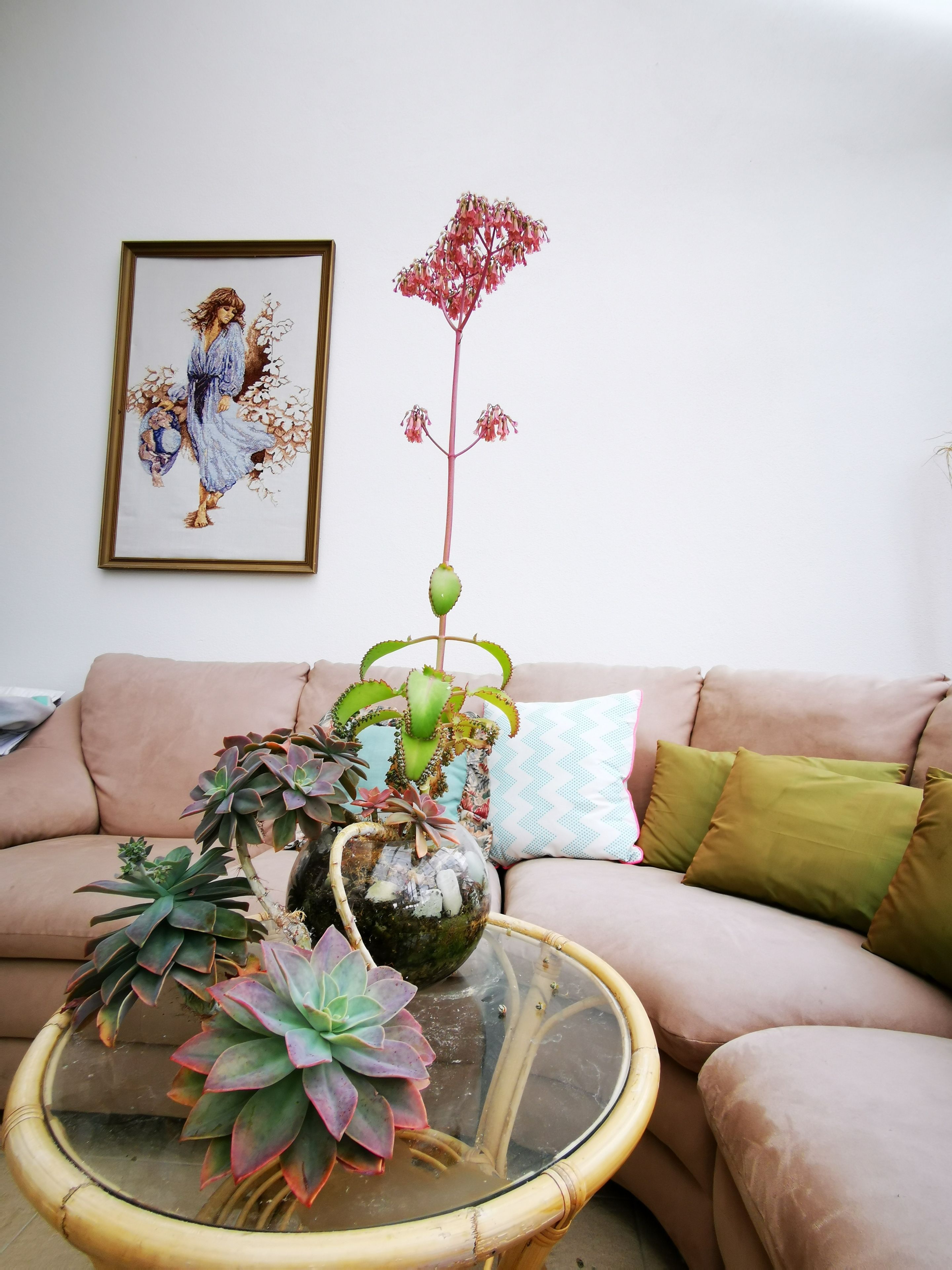 Lush & Co Auckland Bed & Breakfast