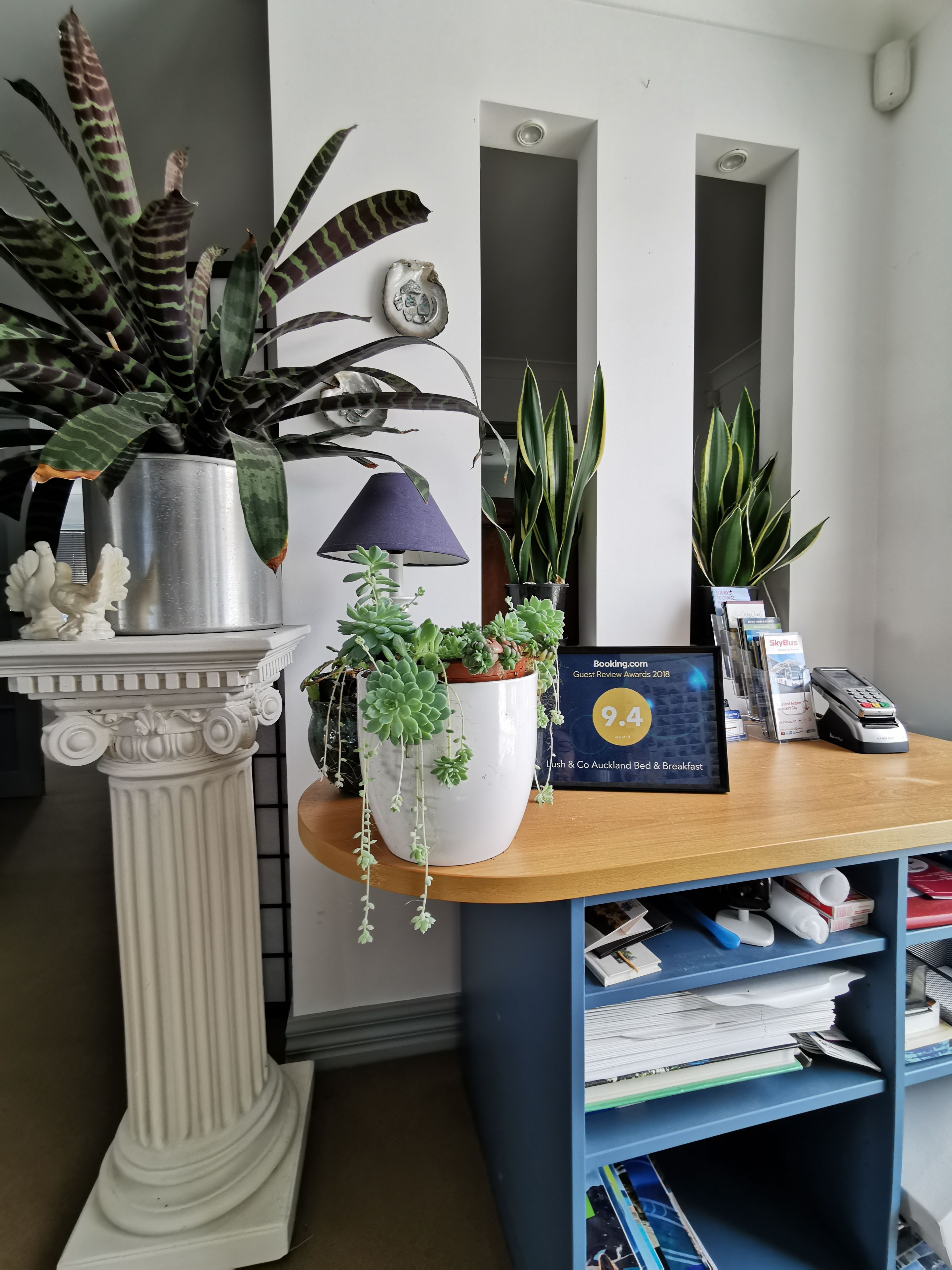 Lush & Co Auckland Bed & Breakfast