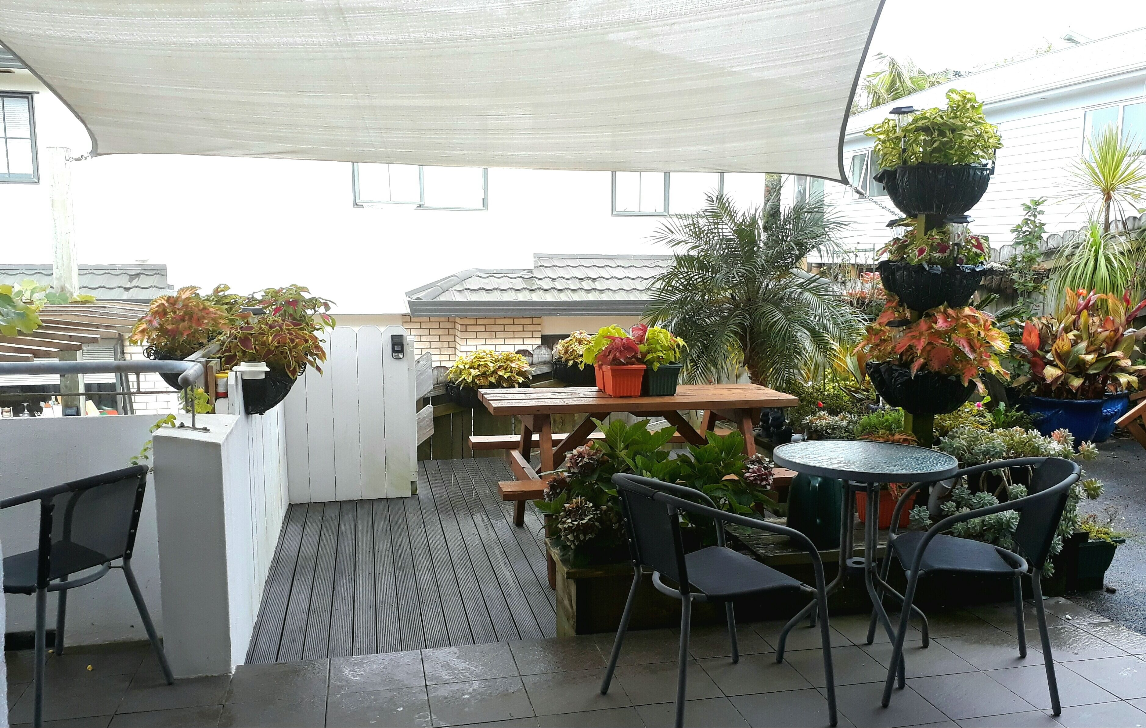 Lush & Co Auckland Bed & Breakfast