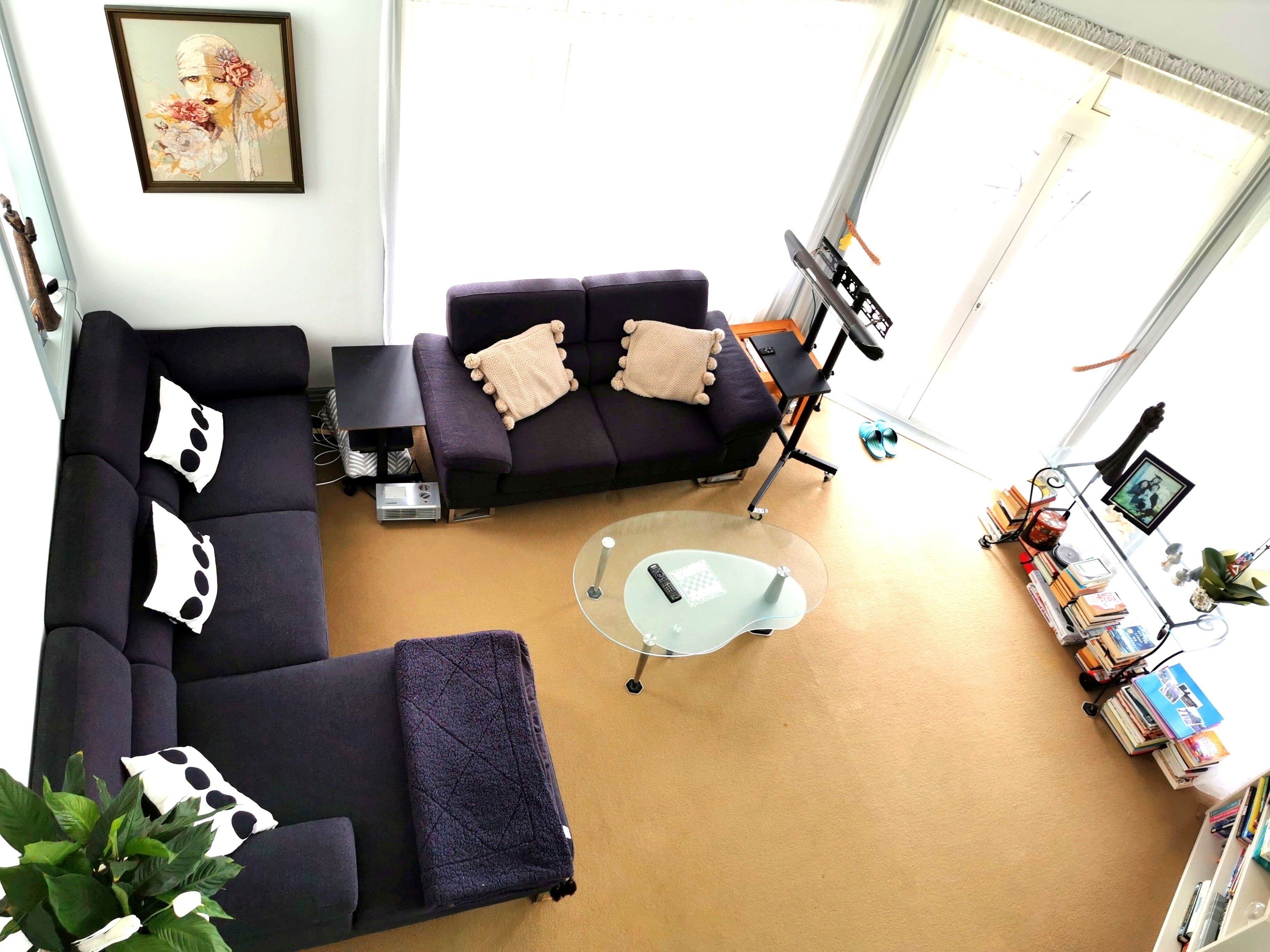 Lush & Co Auckland Bed & Breakfast