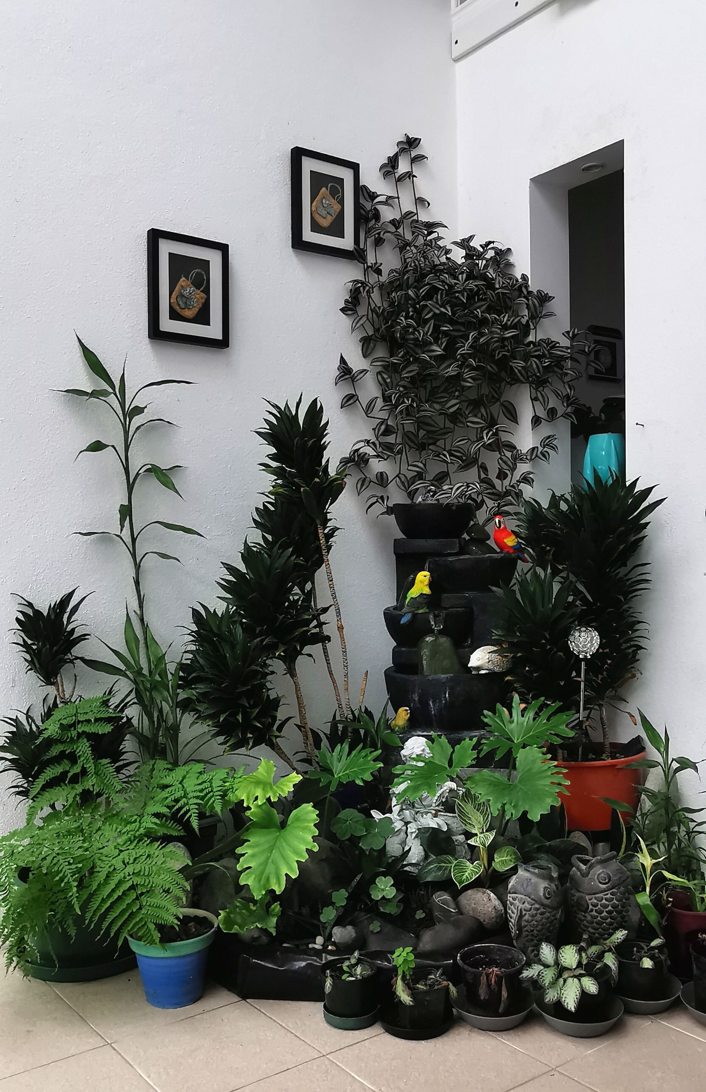 Lush & Co Auckland Bed & Breakfast