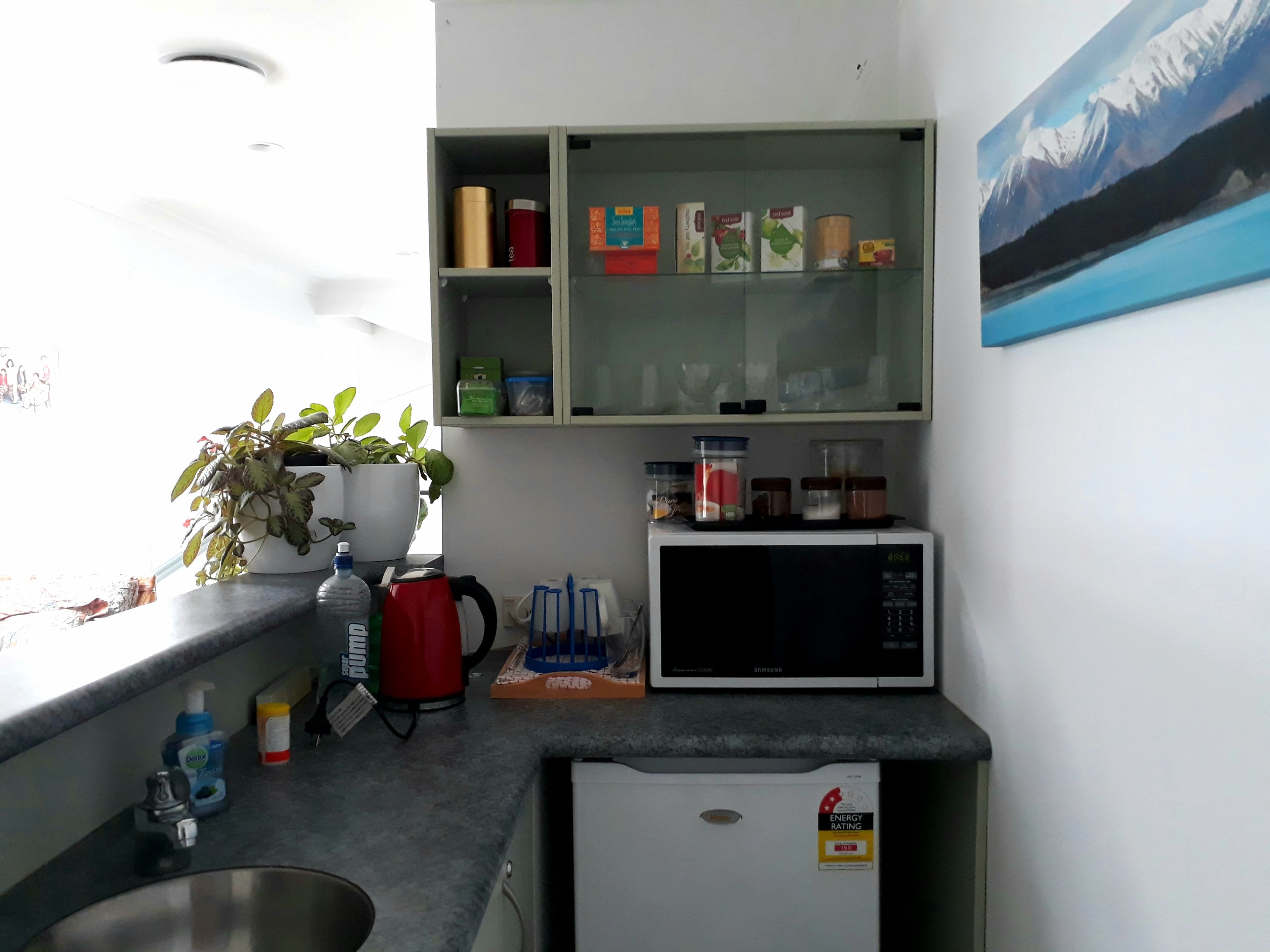 Lush & Co Auckland Bed & Breakfast