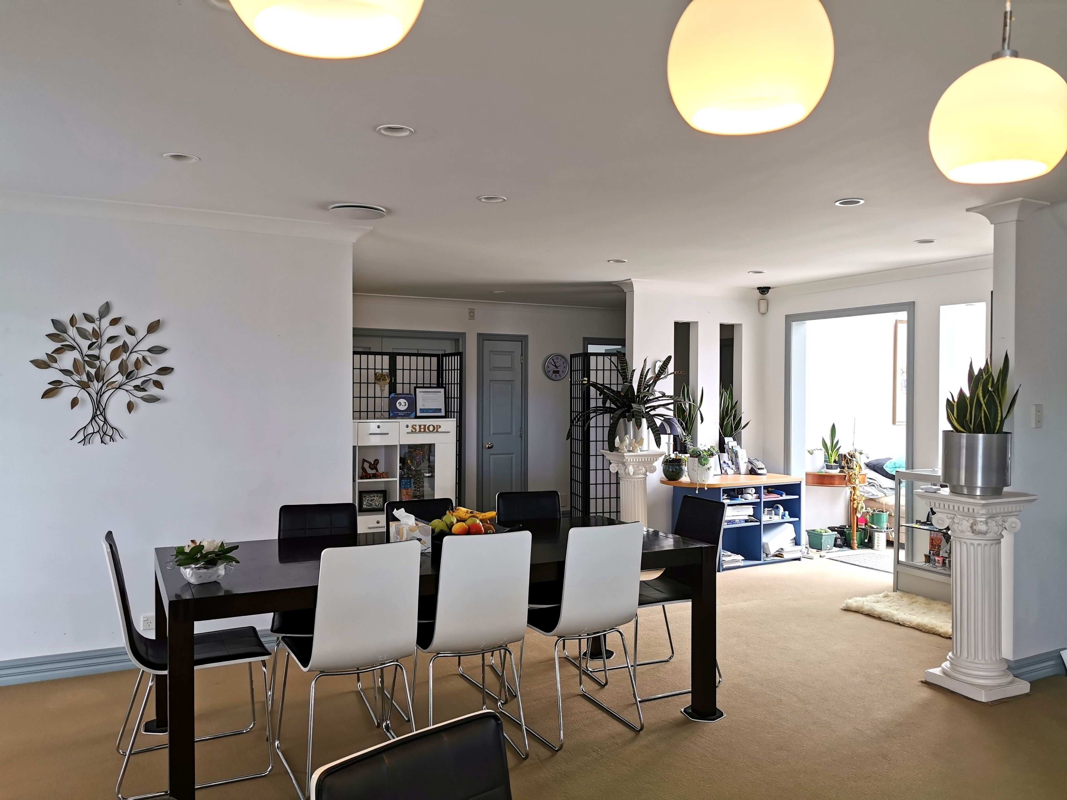 Lush & Co Auckland Bed & Breakfast