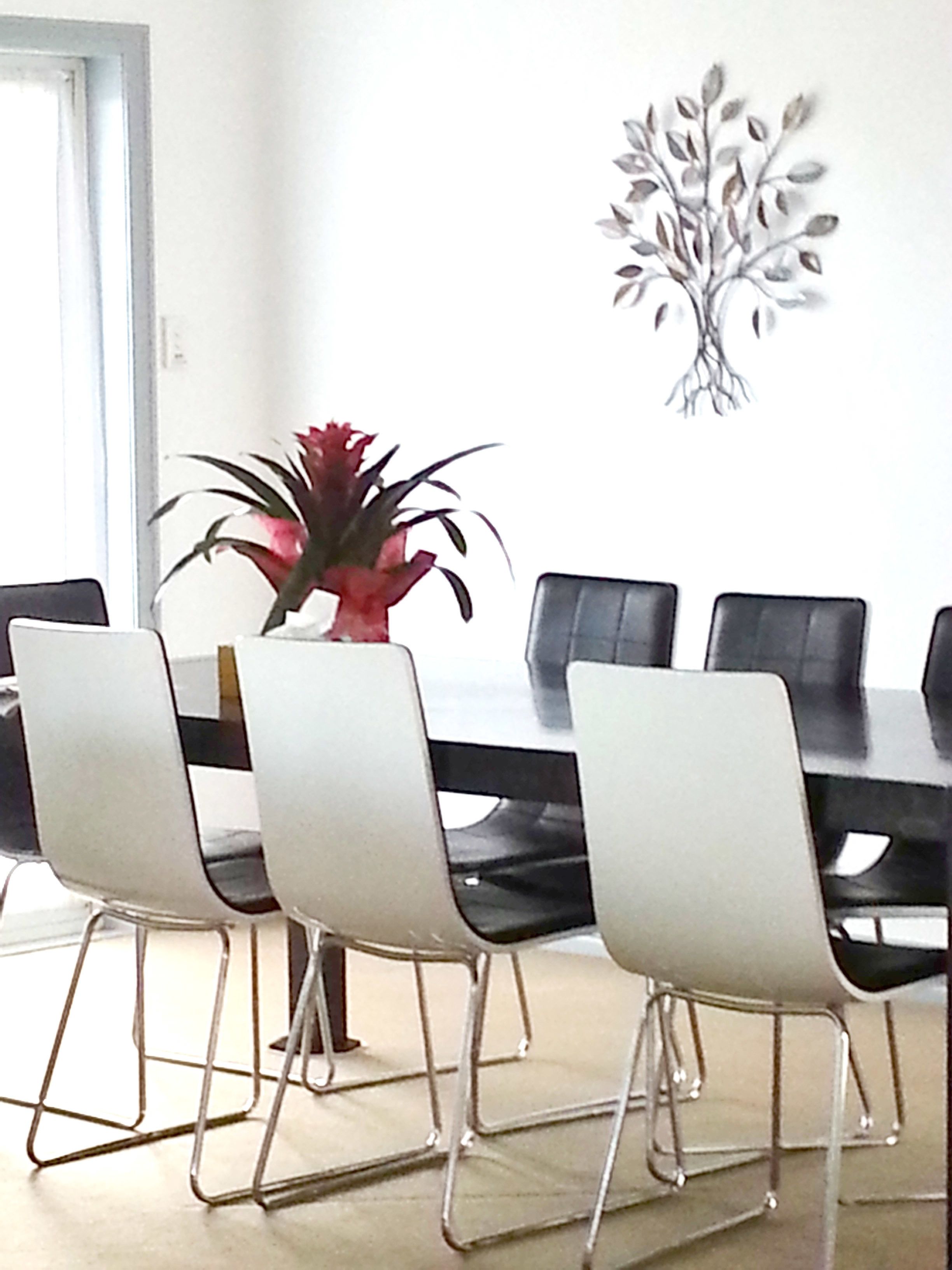 Lush & Co Auckland Bed & Breakfast