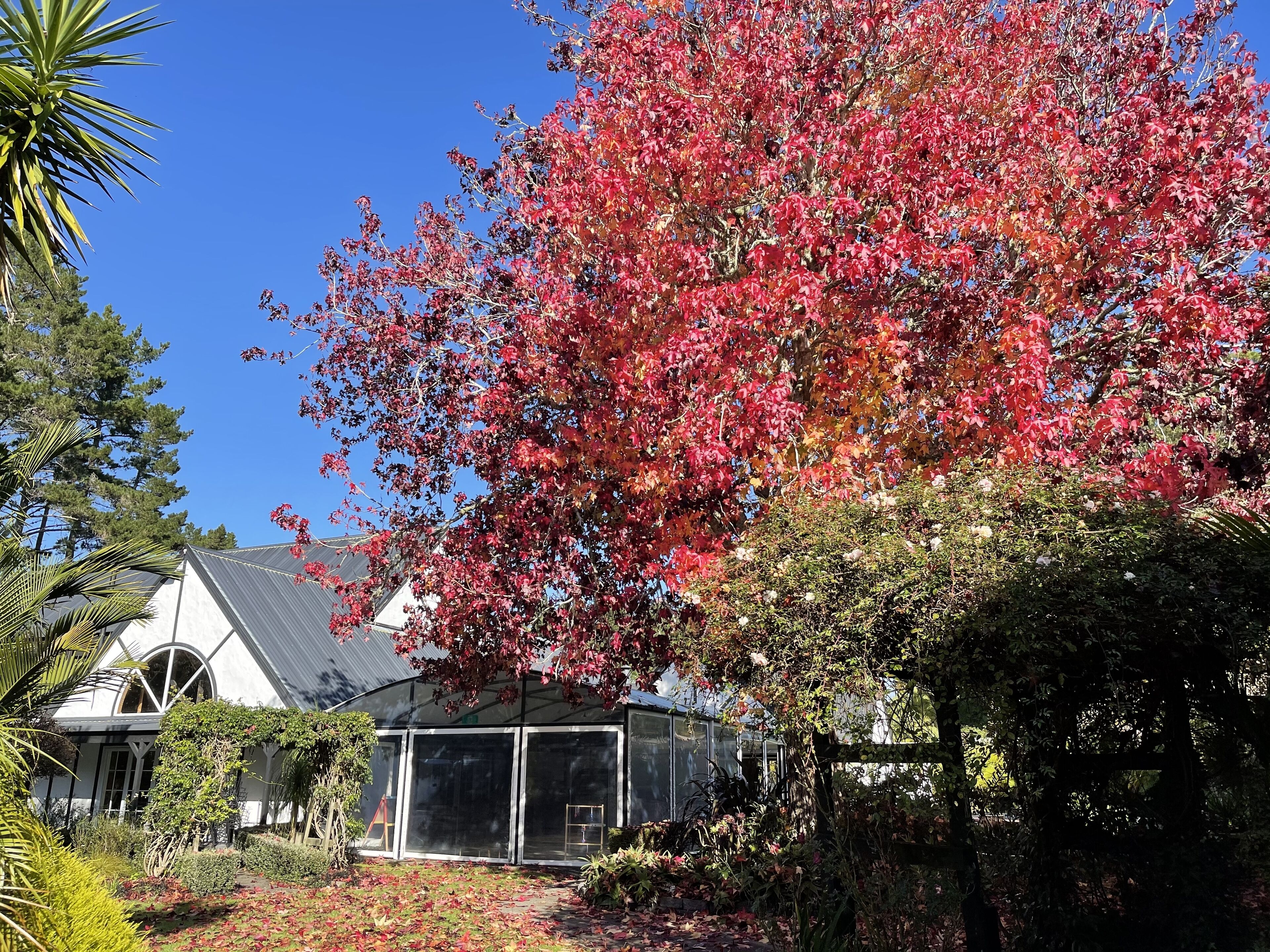 Northridge Country Lodge