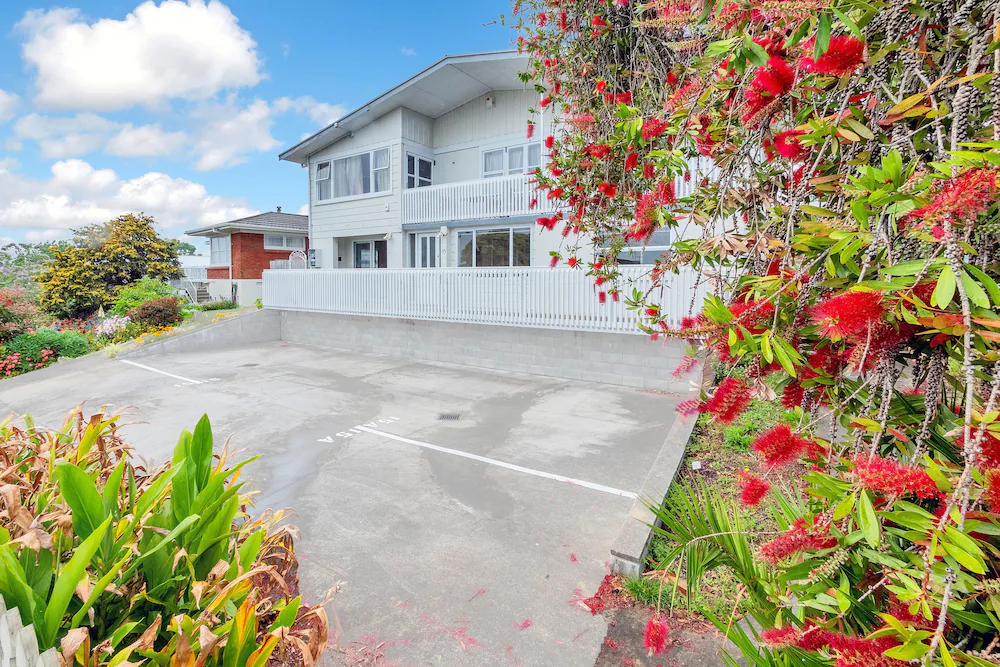 Sunny Pakuranga Delight