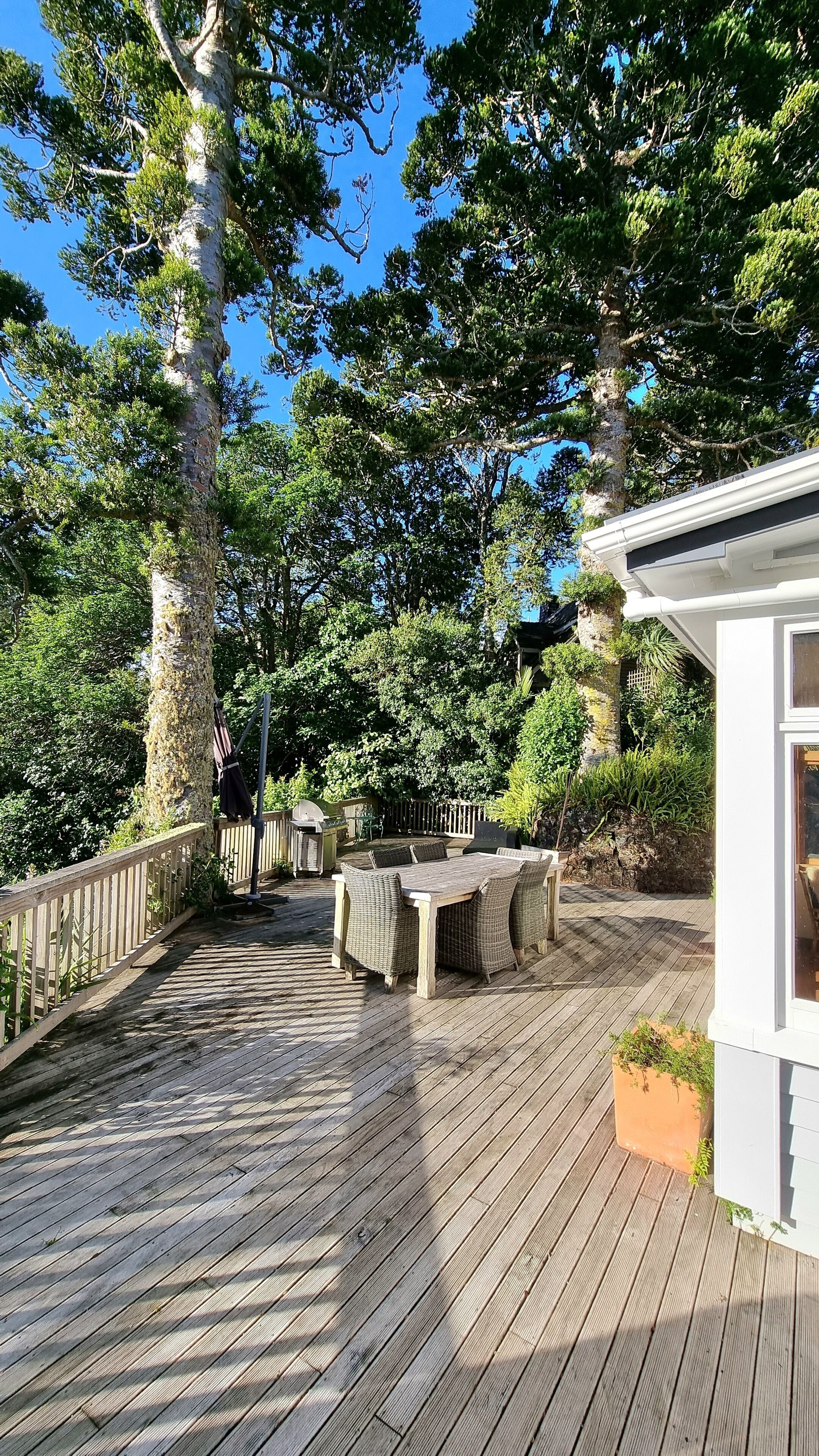 The Kauri Retreat