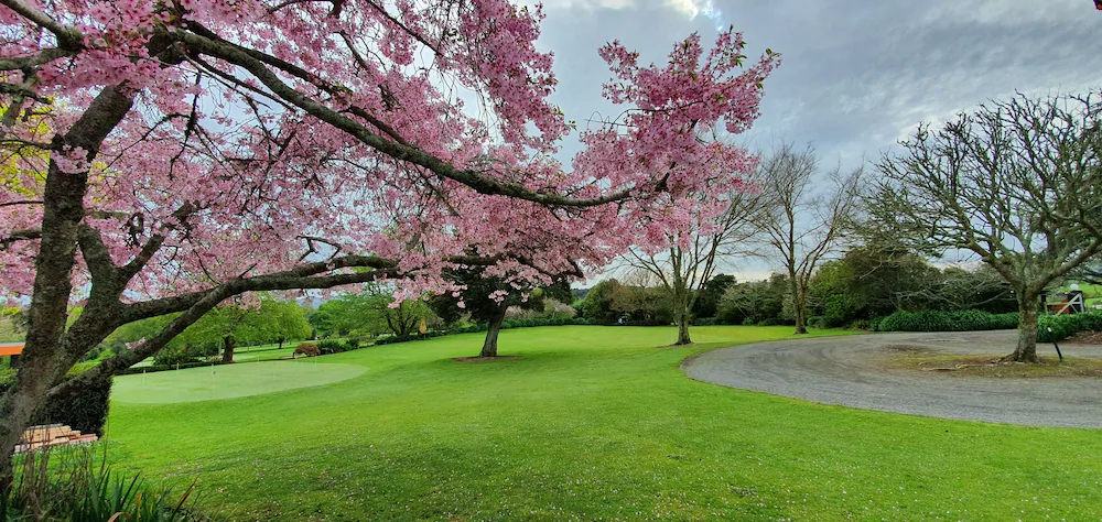 Maxwell's Golf Retreat