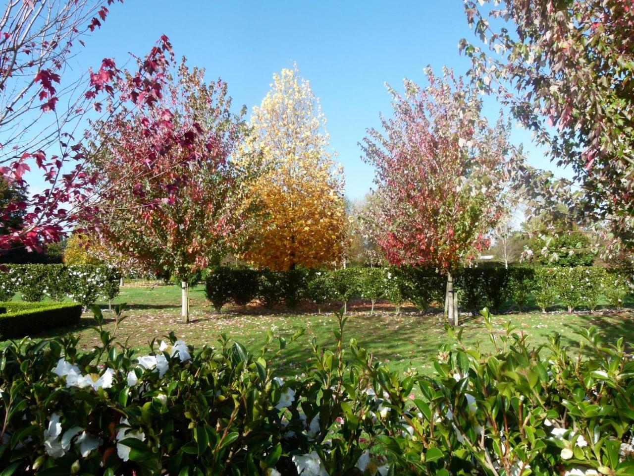 Hadleigh Boutique Lodge
