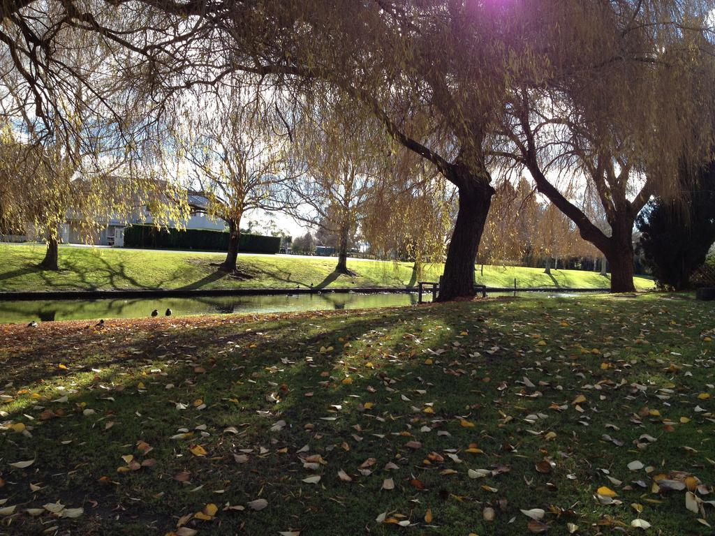 Hastings Top 10 Holiday Park