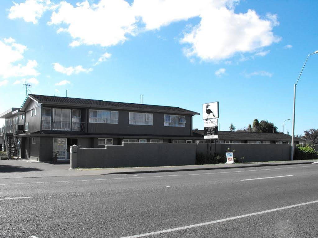 The Magpie- Hawkes Bay Motel