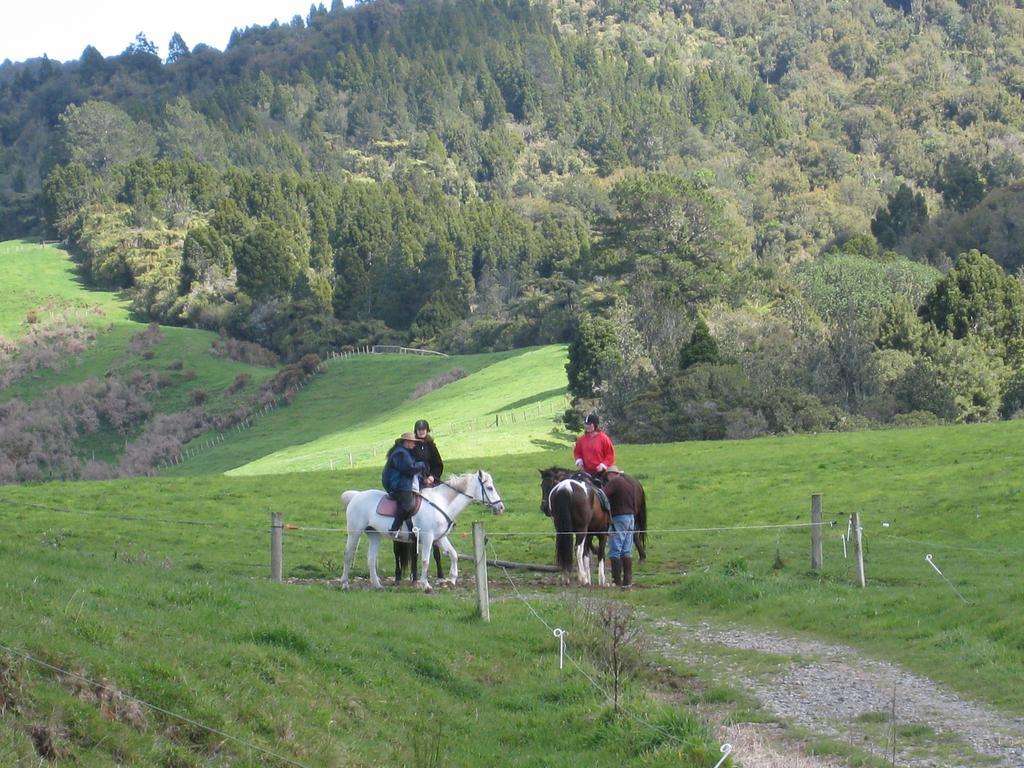 Kaimai Country Lodge