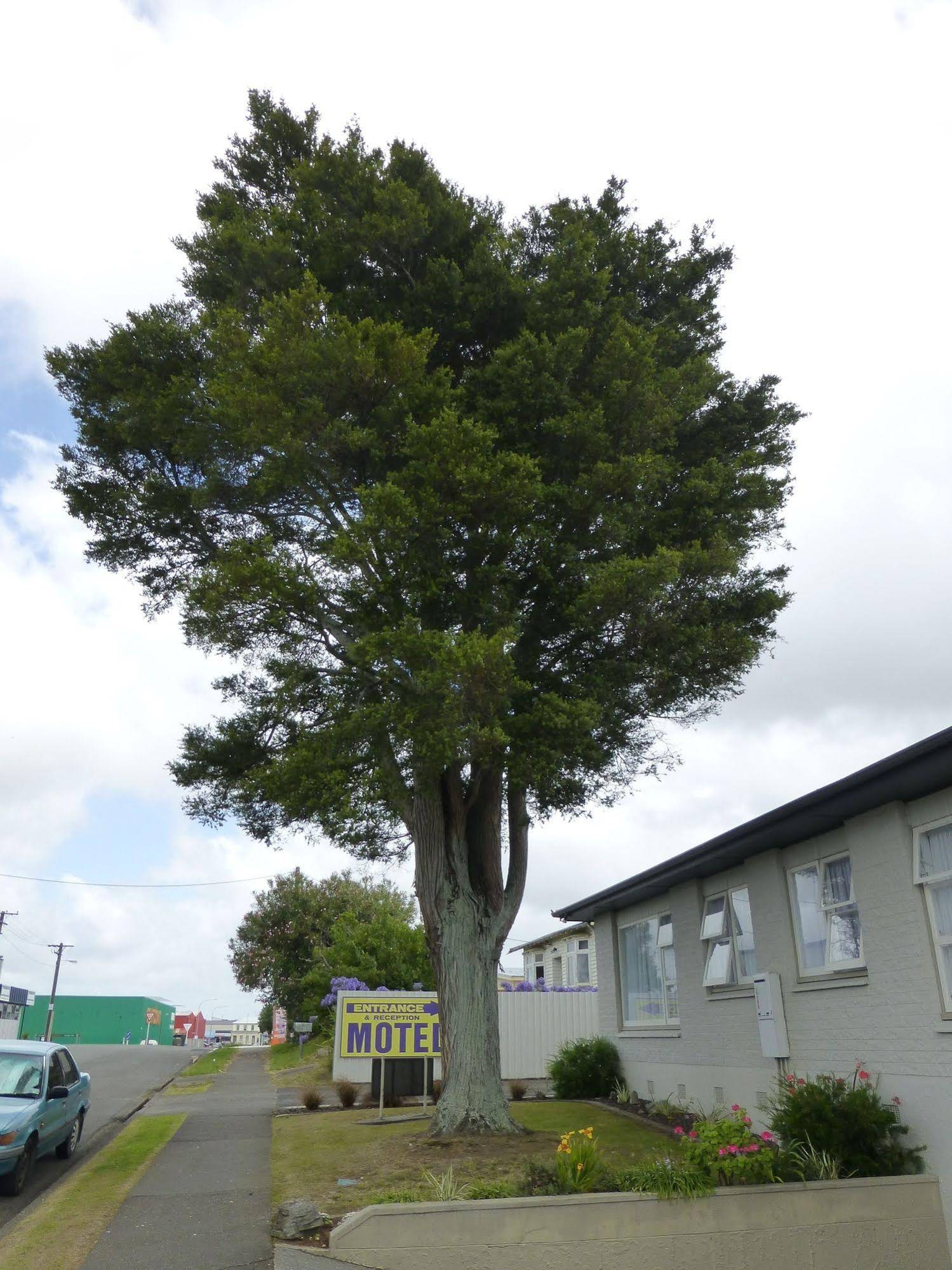 Totara Lodge Motel