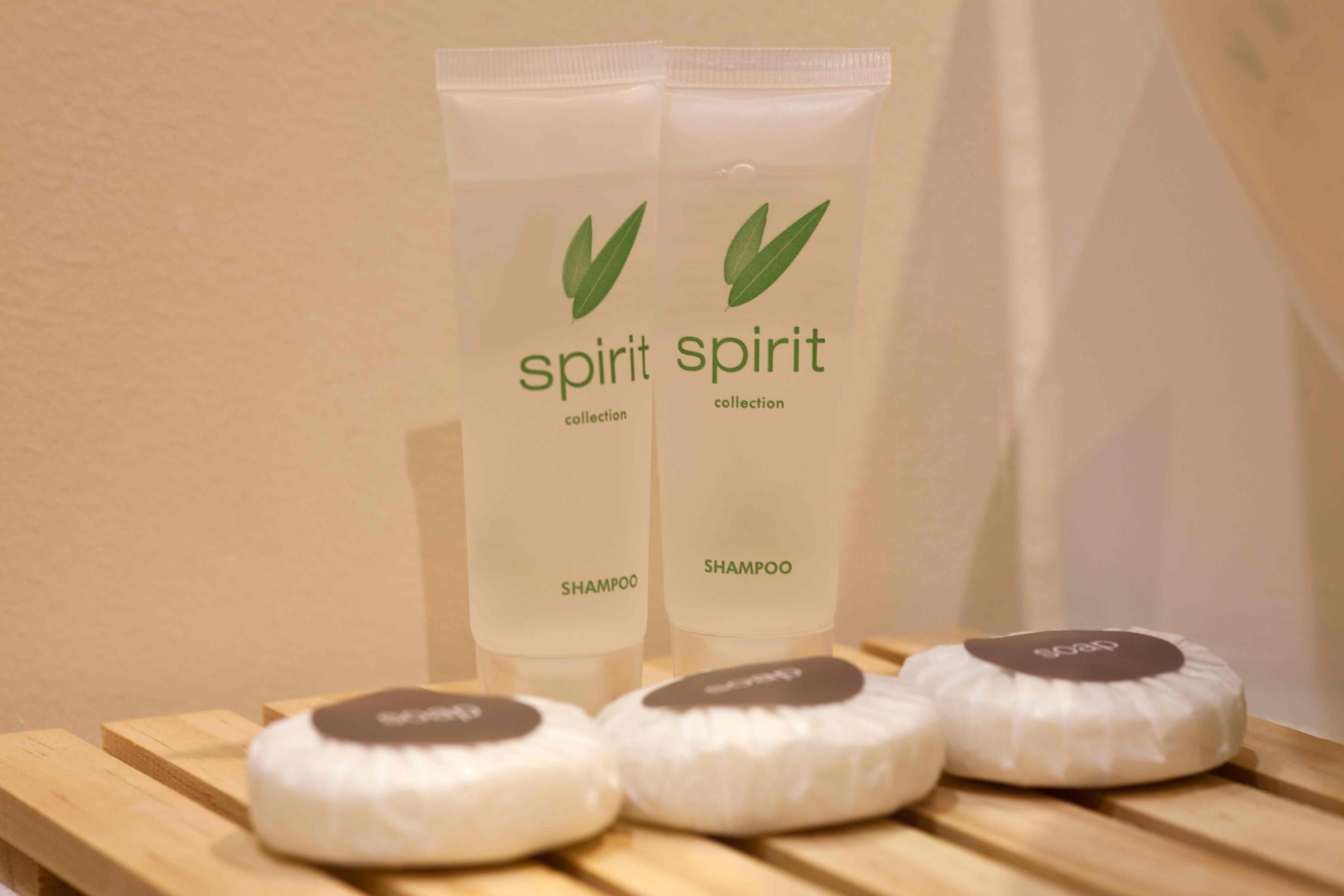 Auckland Airport Kiwi Hotel