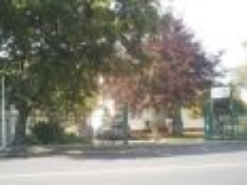 Walmsley Lodge Motel