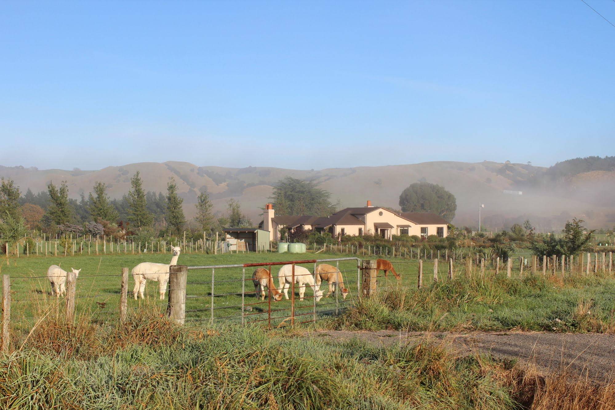 The Summit Lodge