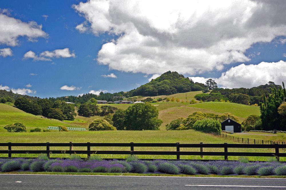 Sugarloaf Lodge