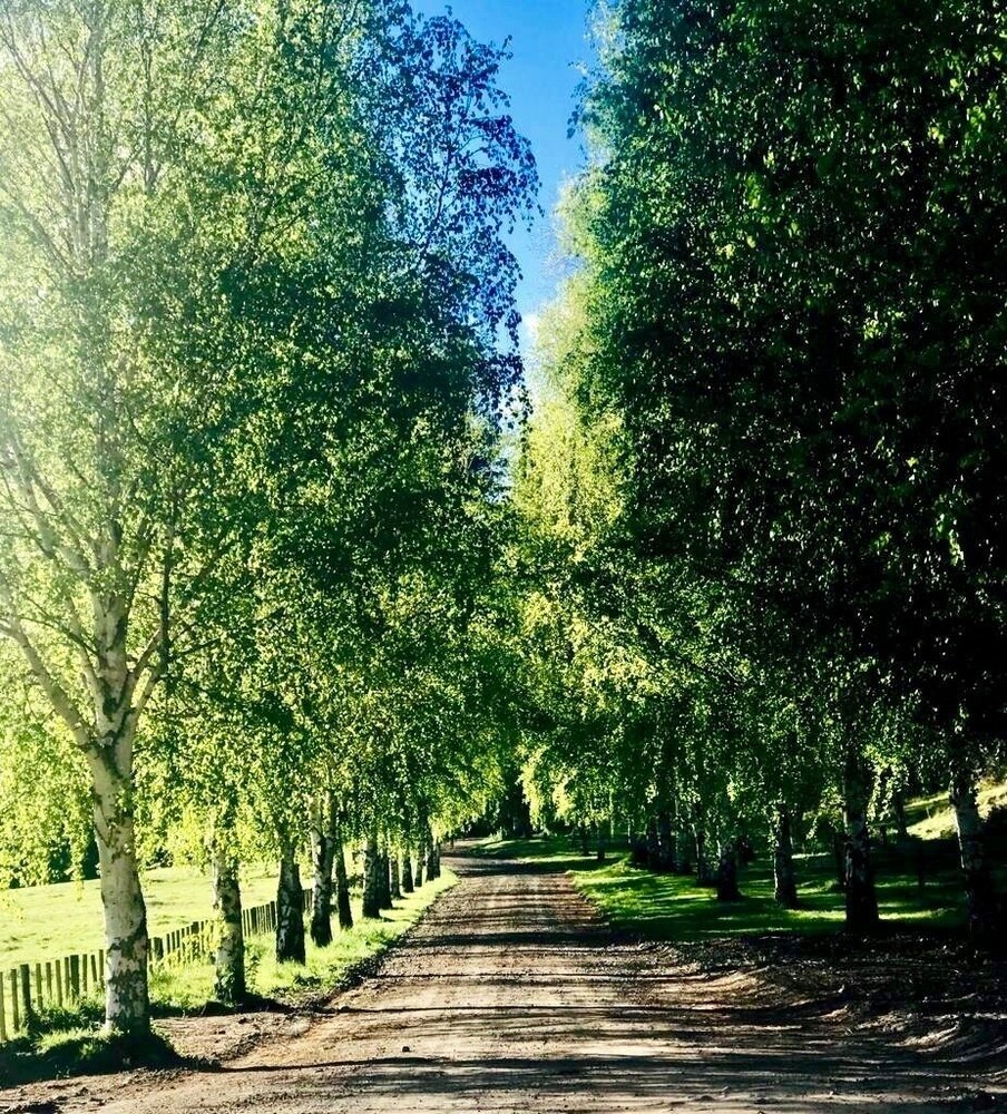 Mohaka River Farm