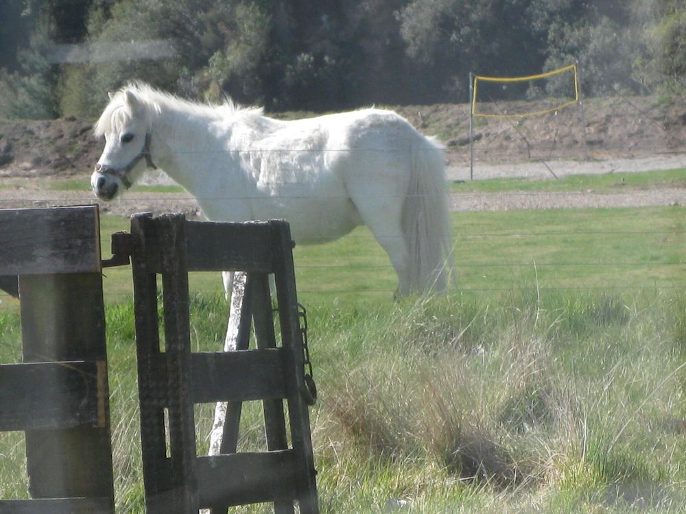 Mohaka River Farm