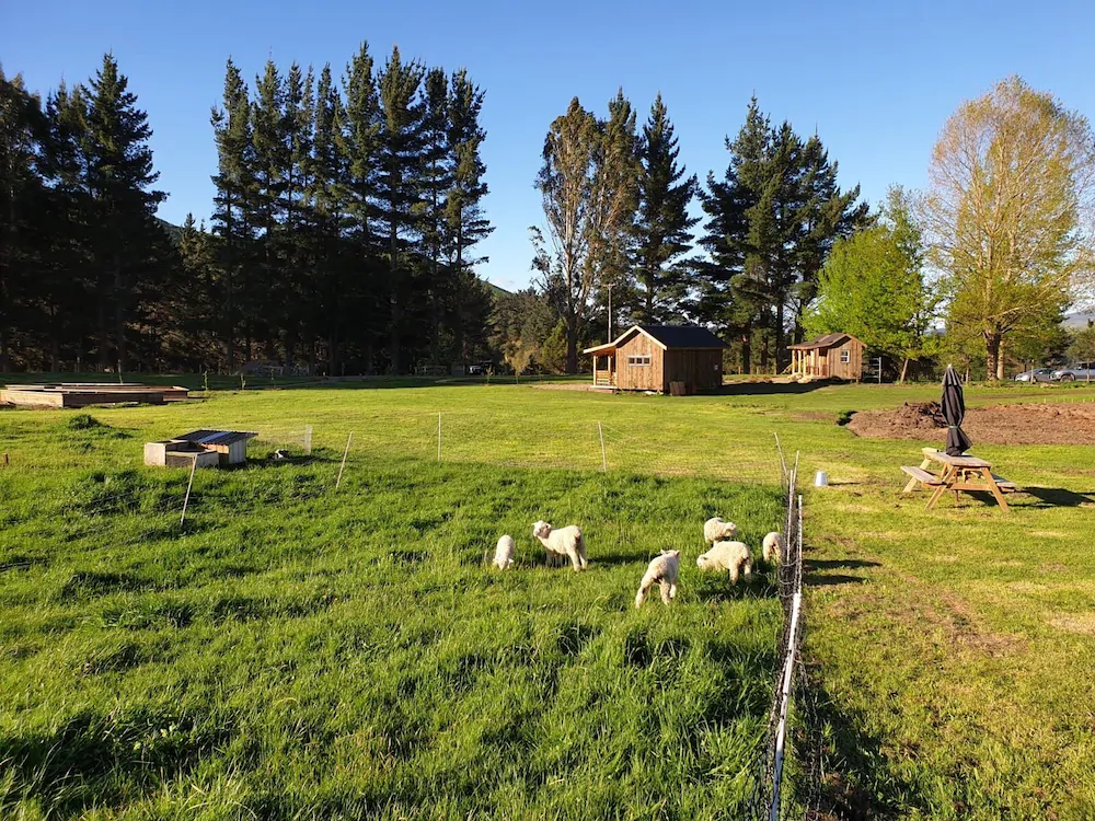 Mohaka River Farm