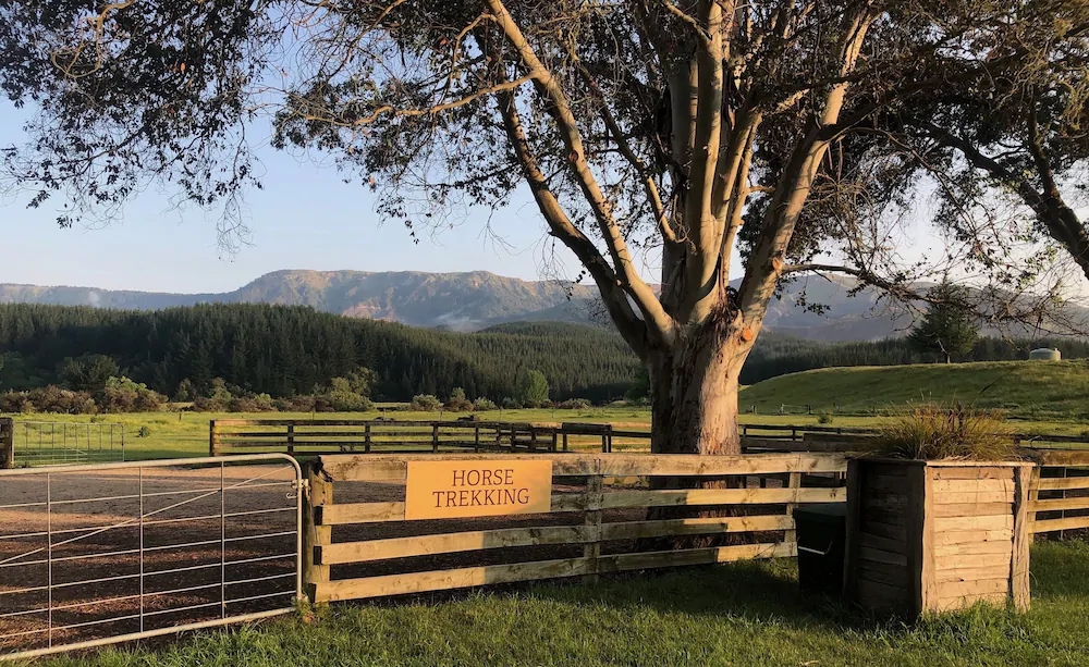 Mohaka River Farm