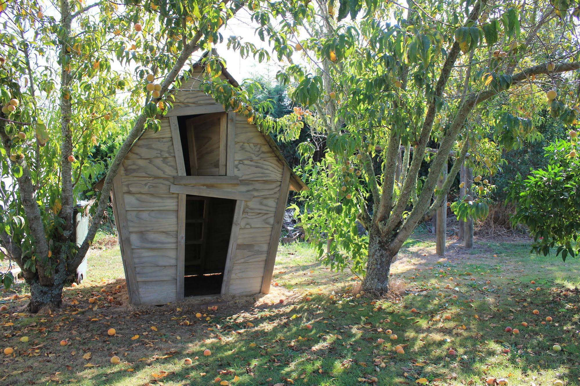 Jack and Di’s Motel Lodge