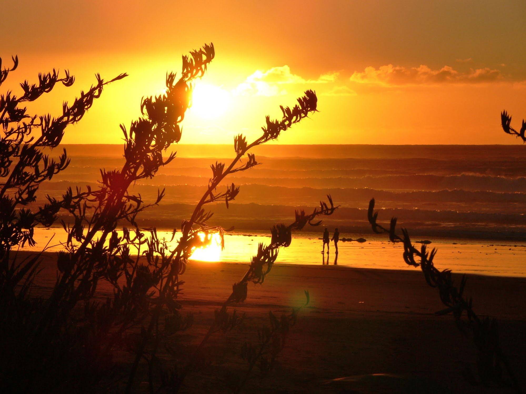 Oakura Beach Holiday Park
